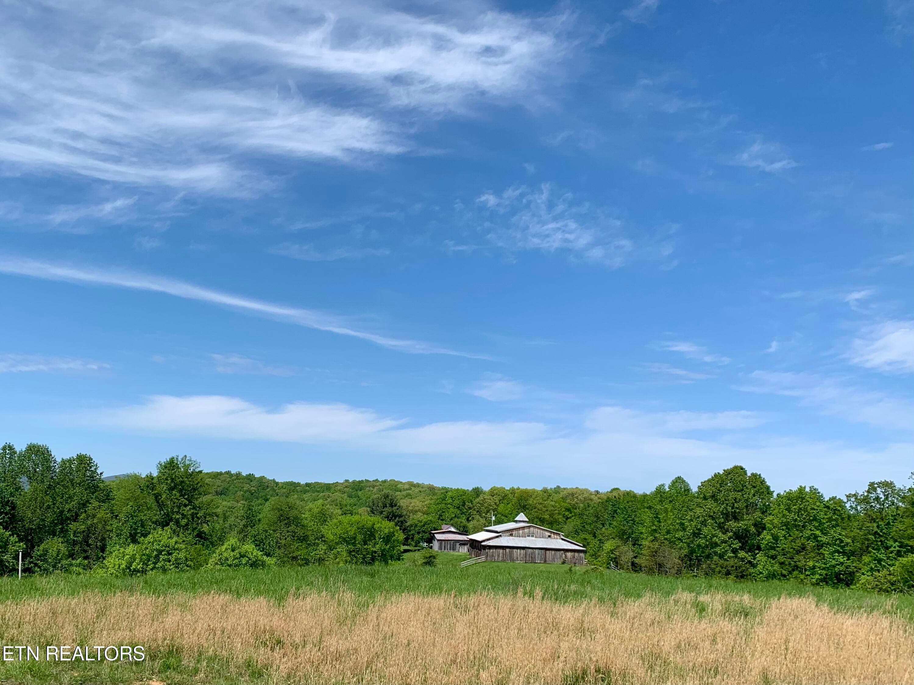 1088 Jones Ridge Rd, Speedwell, TN 37870