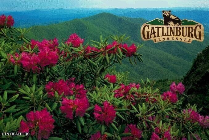 Gatlinburg - 1695 Misty Hollow Way, Gatlinburg, TN 37738, Gatlinburg