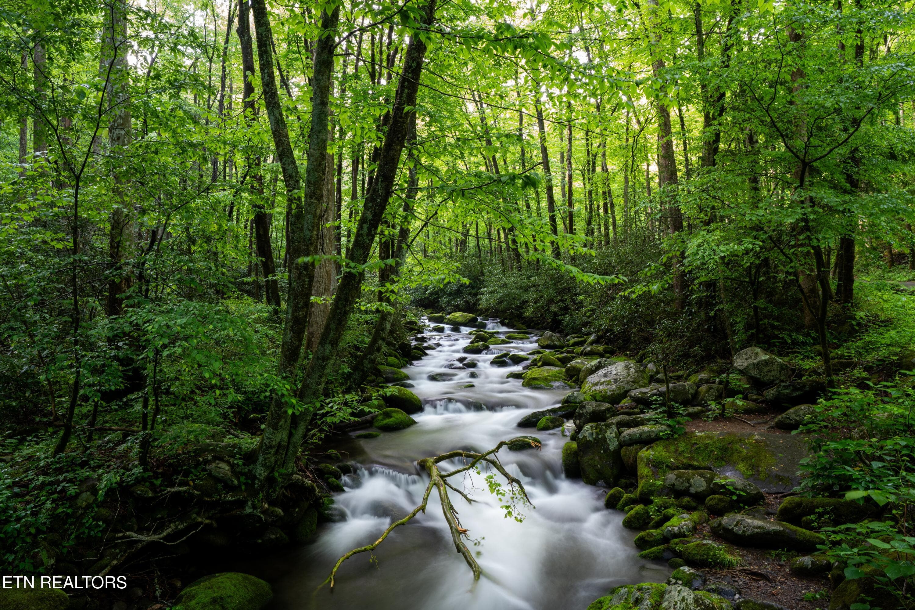 stream - 1695 Misty Hollow Way, Gatlinburg, TN 37738, Gatlinburg