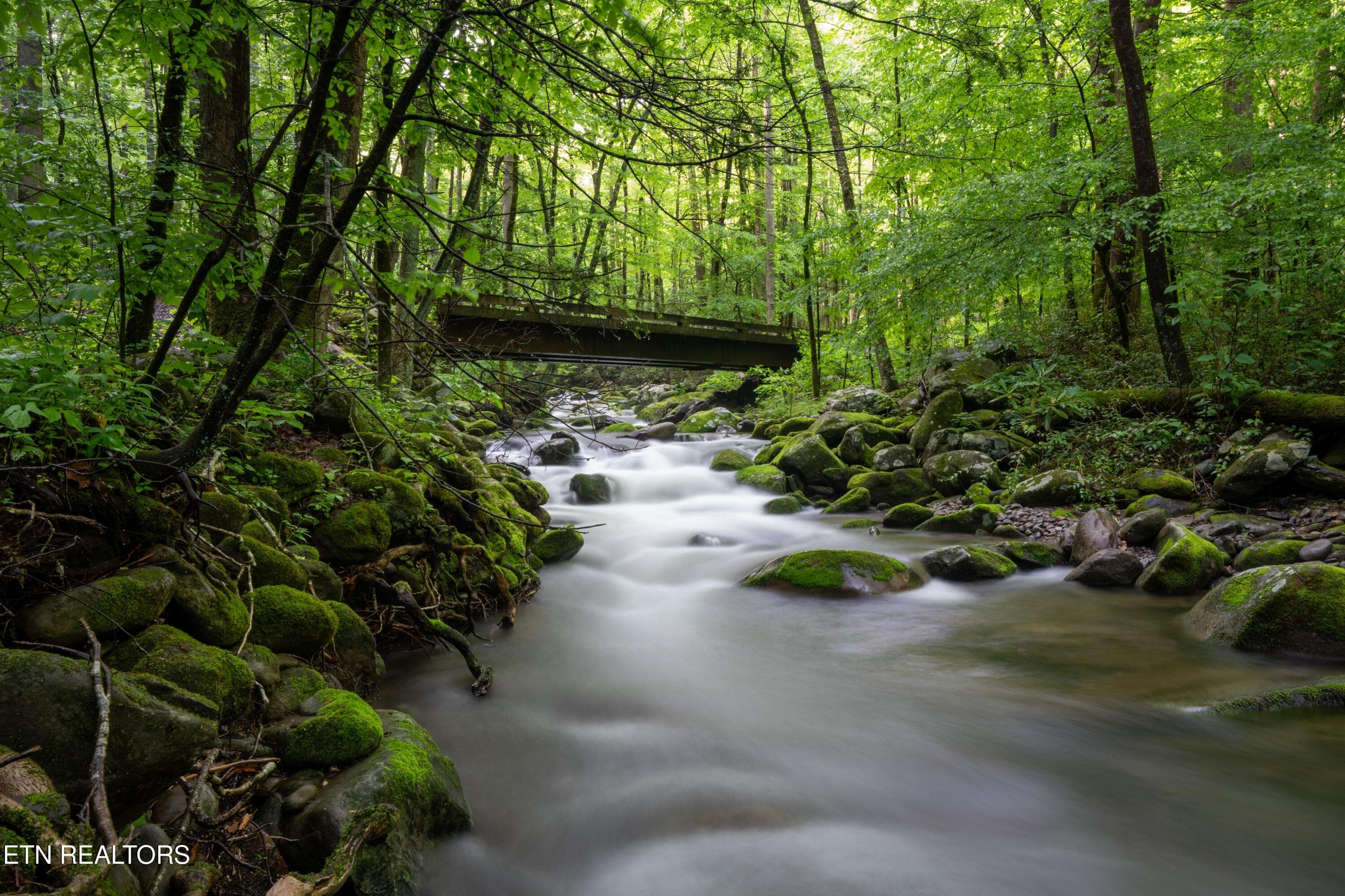 river view - 1695 Misty Hollow Way, Gatlinburg, TN 37738, Gatlinburg