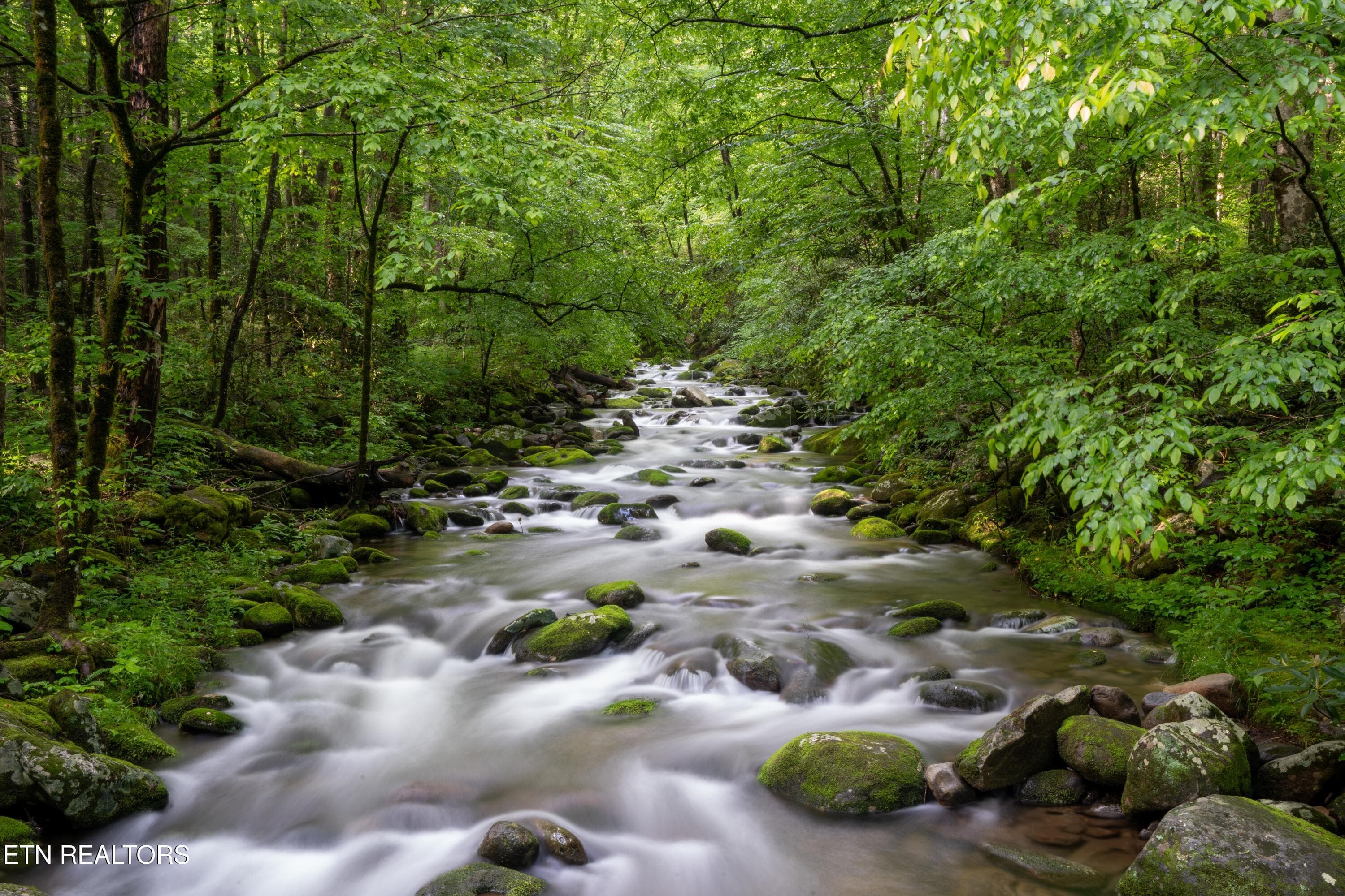property view - 1695 Misty Hollow Way, Gatlinburg, TN 37738, Gatlinburg