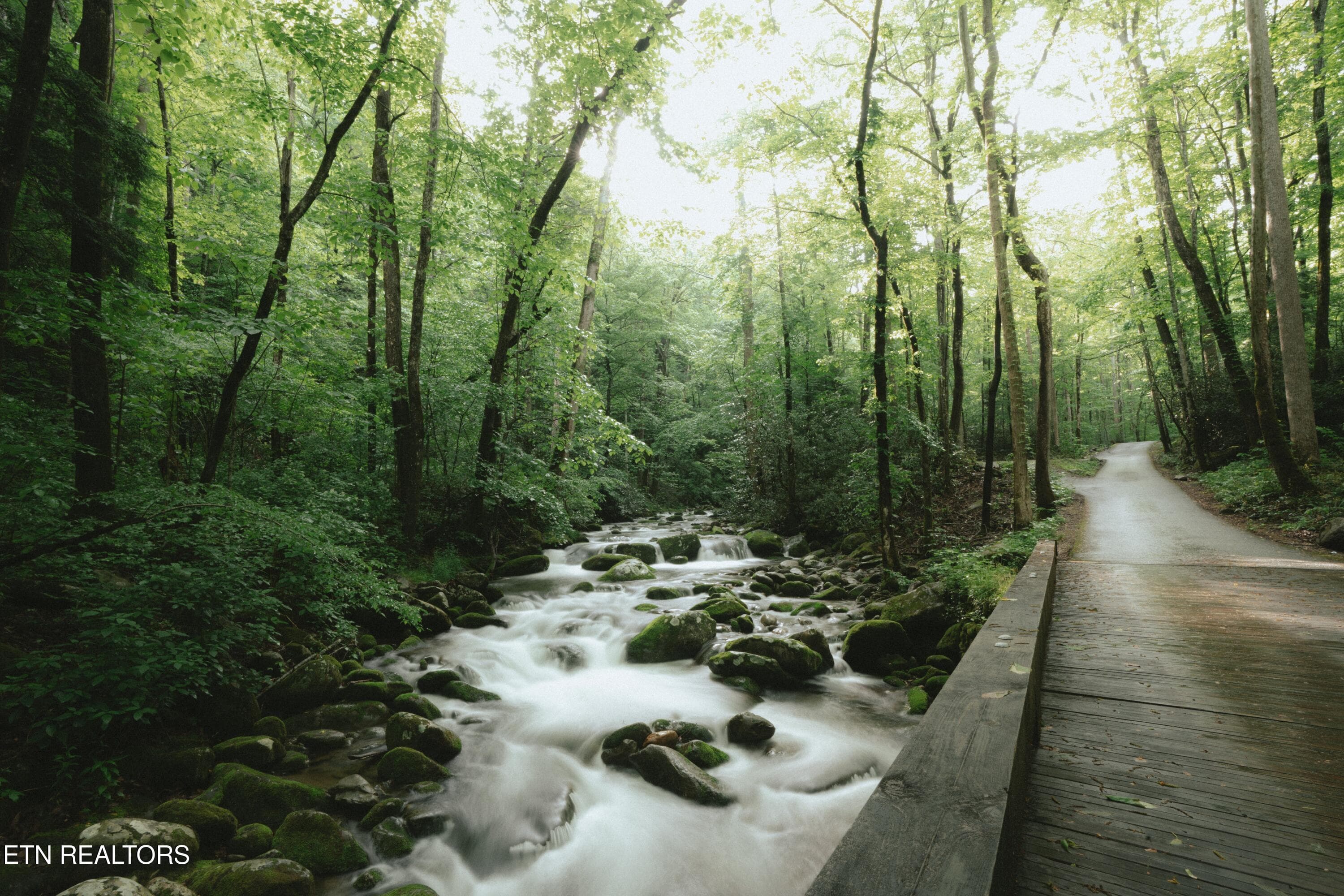resort view - 1695 Misty Hollow Way, Gatlinburg, TN 37738, Gatlinburg