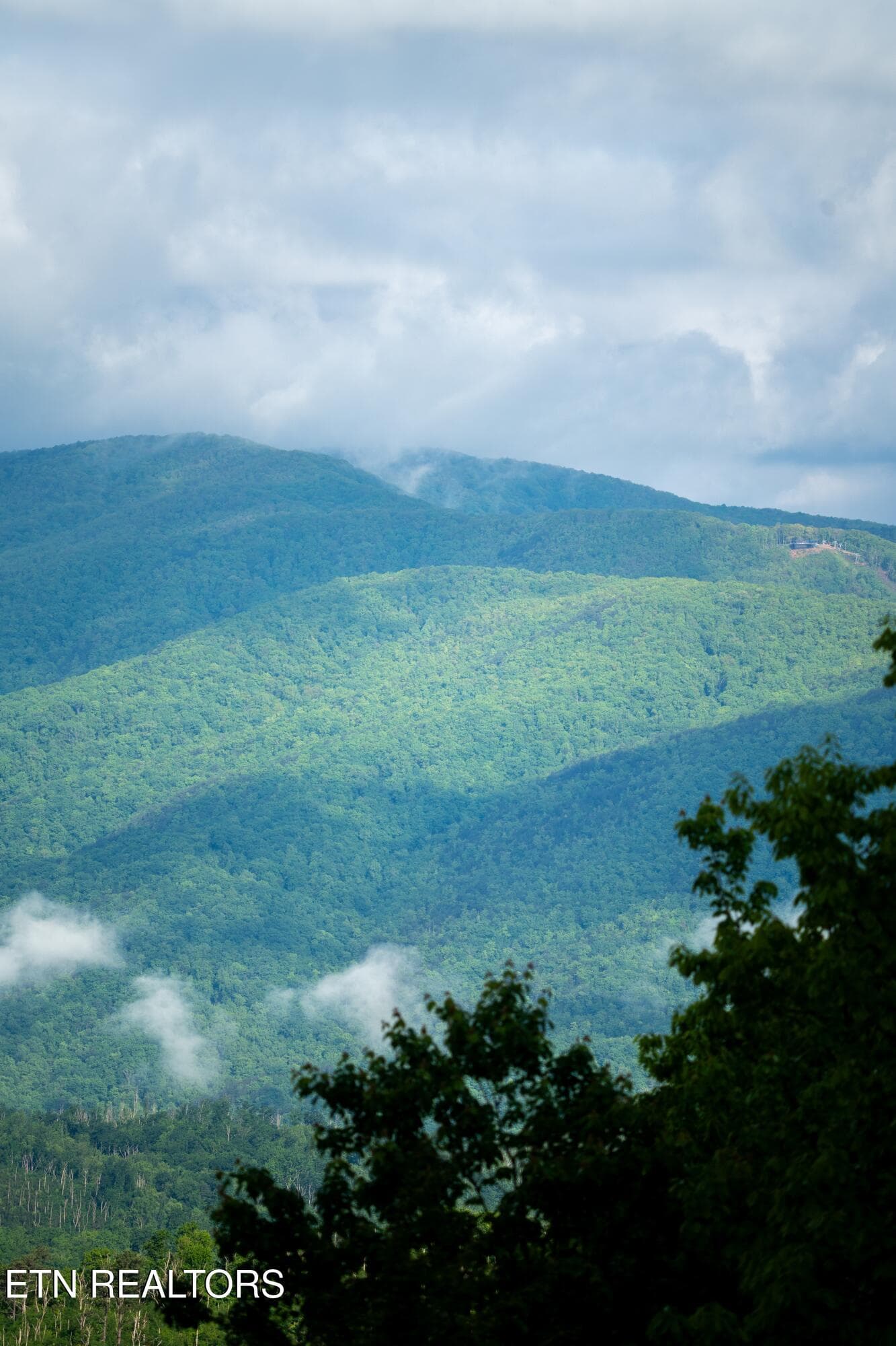 Mnts are calling - 1695 Misty Hollow Way, Gatlinburg, TN 37738, Gatlinburg