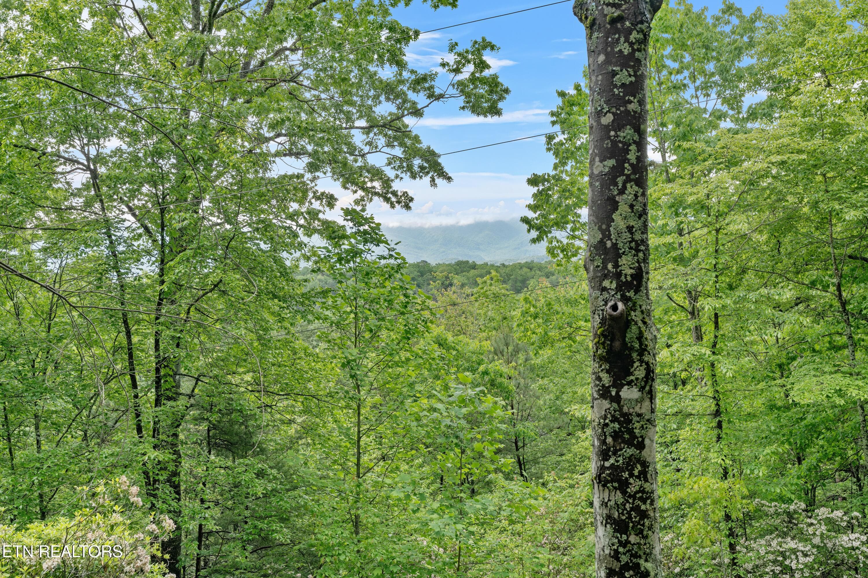 outdoor view - 1695 Misty Hollow Way, Gatlinburg, TN 37738, Gatlinburg