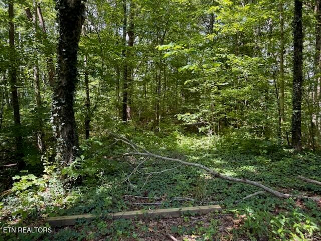 Bates Gibson Rd, Sevierville, TN 37876