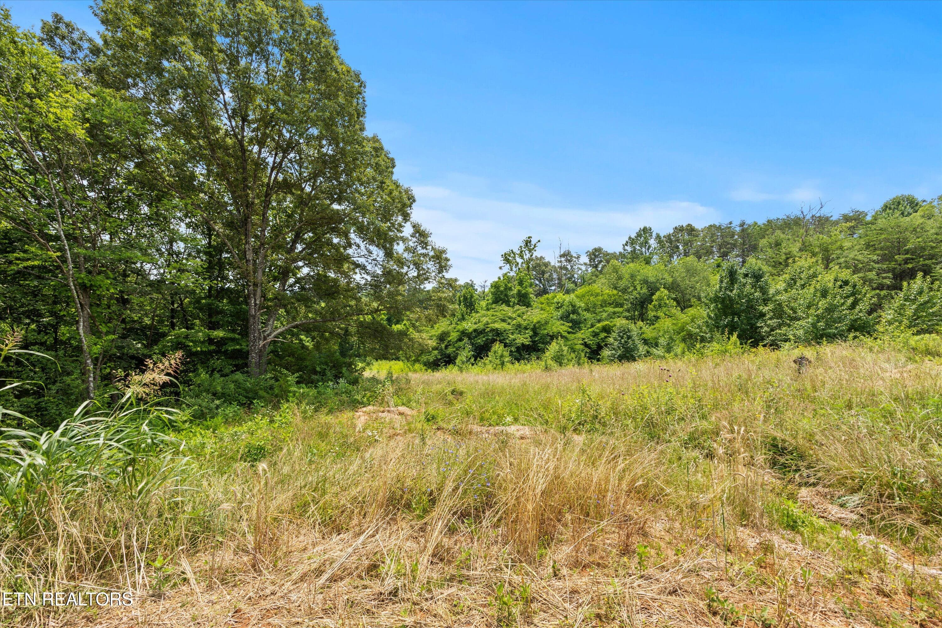 2897 Norcross Rd, Maryville, TN 37803