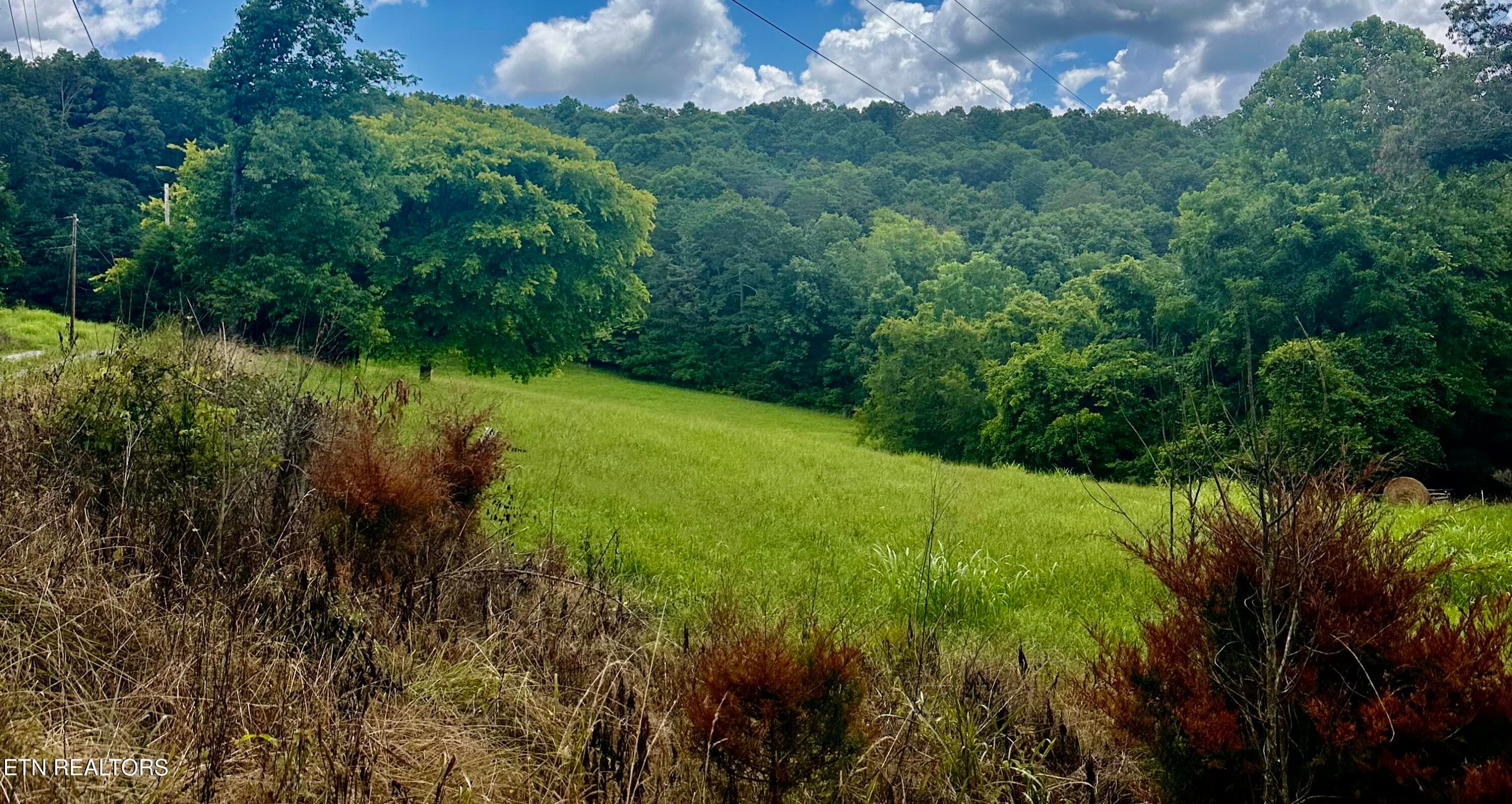 IMG_8473 - 1297 Clinch River (EAST) Rd, Tazewell, TN 37879, Tazewell