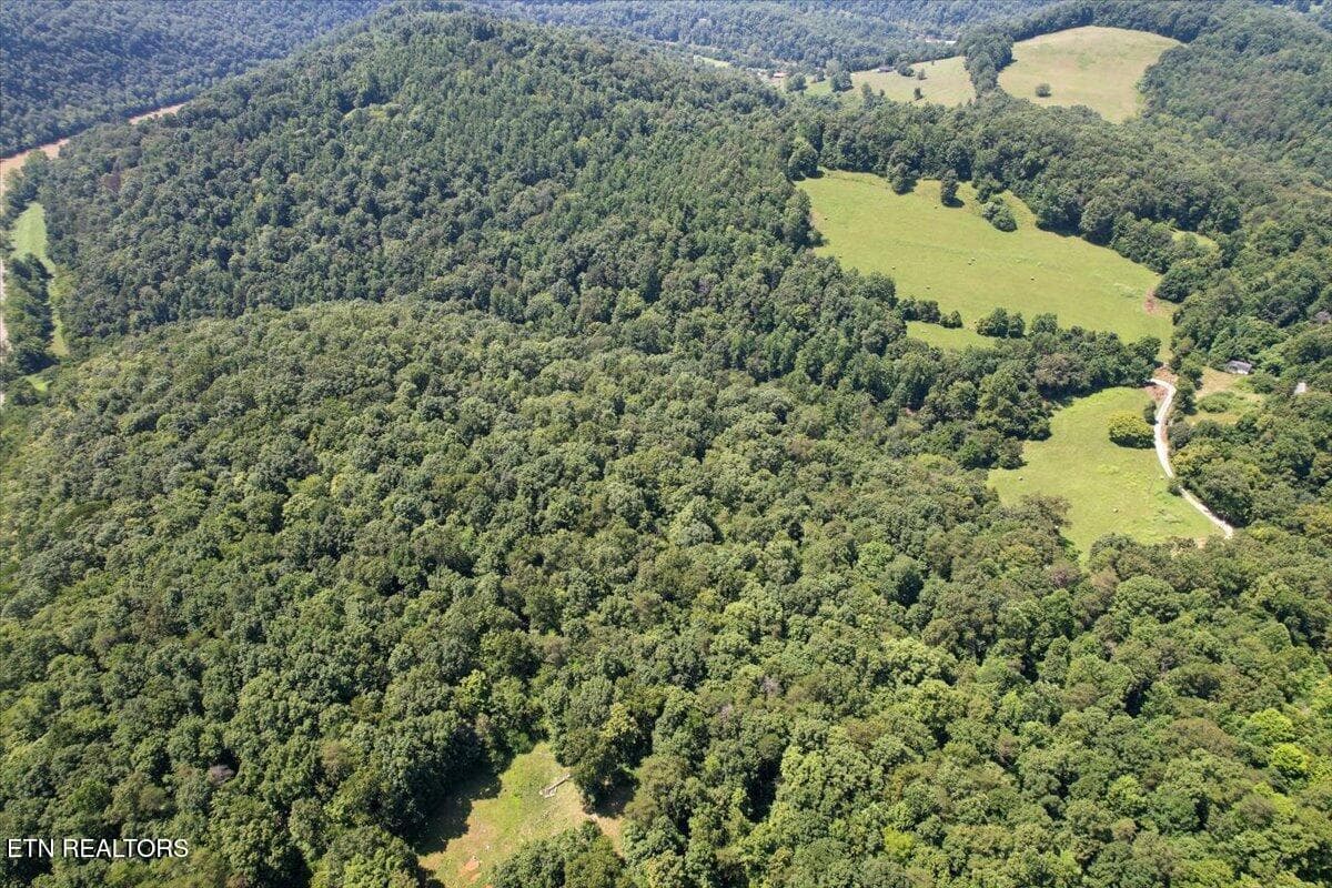 03-DJI_0879 - 1297 Clinch River (EAST) Rd, Tazewell, TN 37879, Tazewell