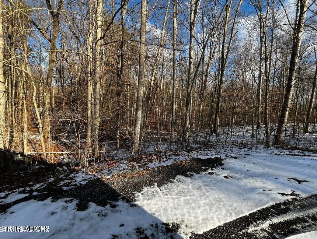 Screenshot 2025-08-01 235914 - Lot 4 Evergreen Drive, Oneida, TN 37841