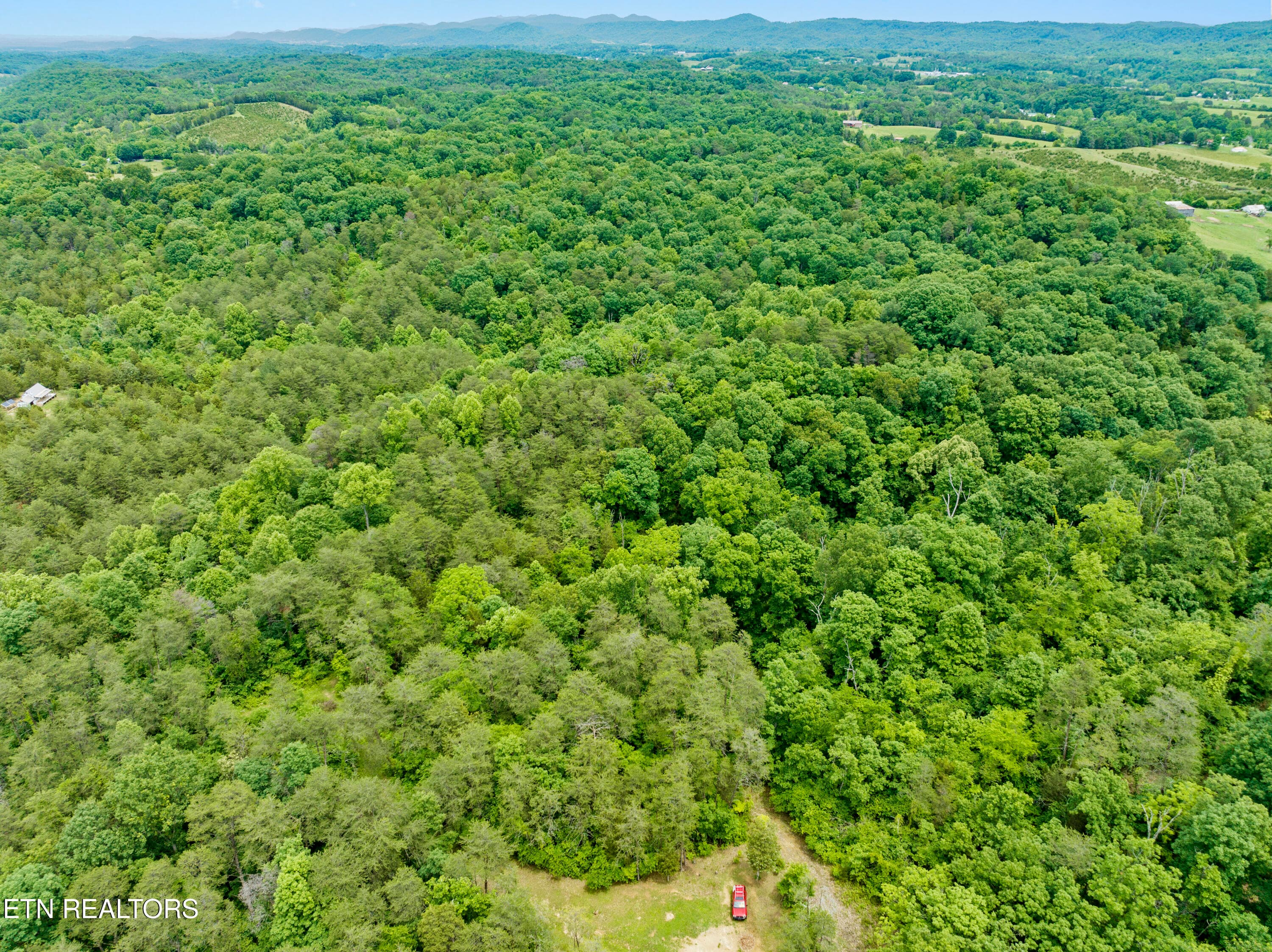 DJI_0477 - 185 Green Rd, Bulls Gap, TN 37711