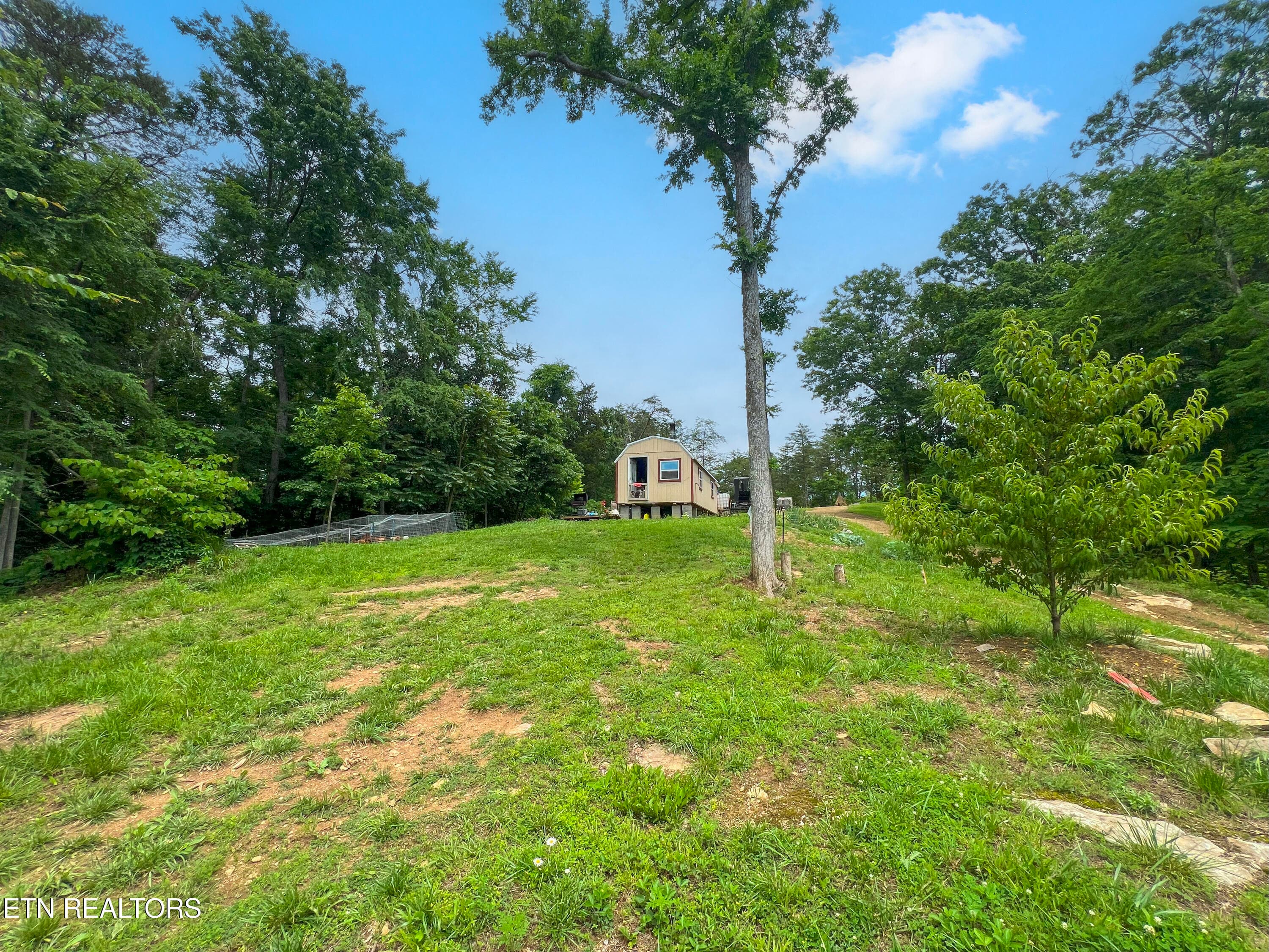 IMG_1193 - 185 Green Rd, Bulls Gap, TN 37711
