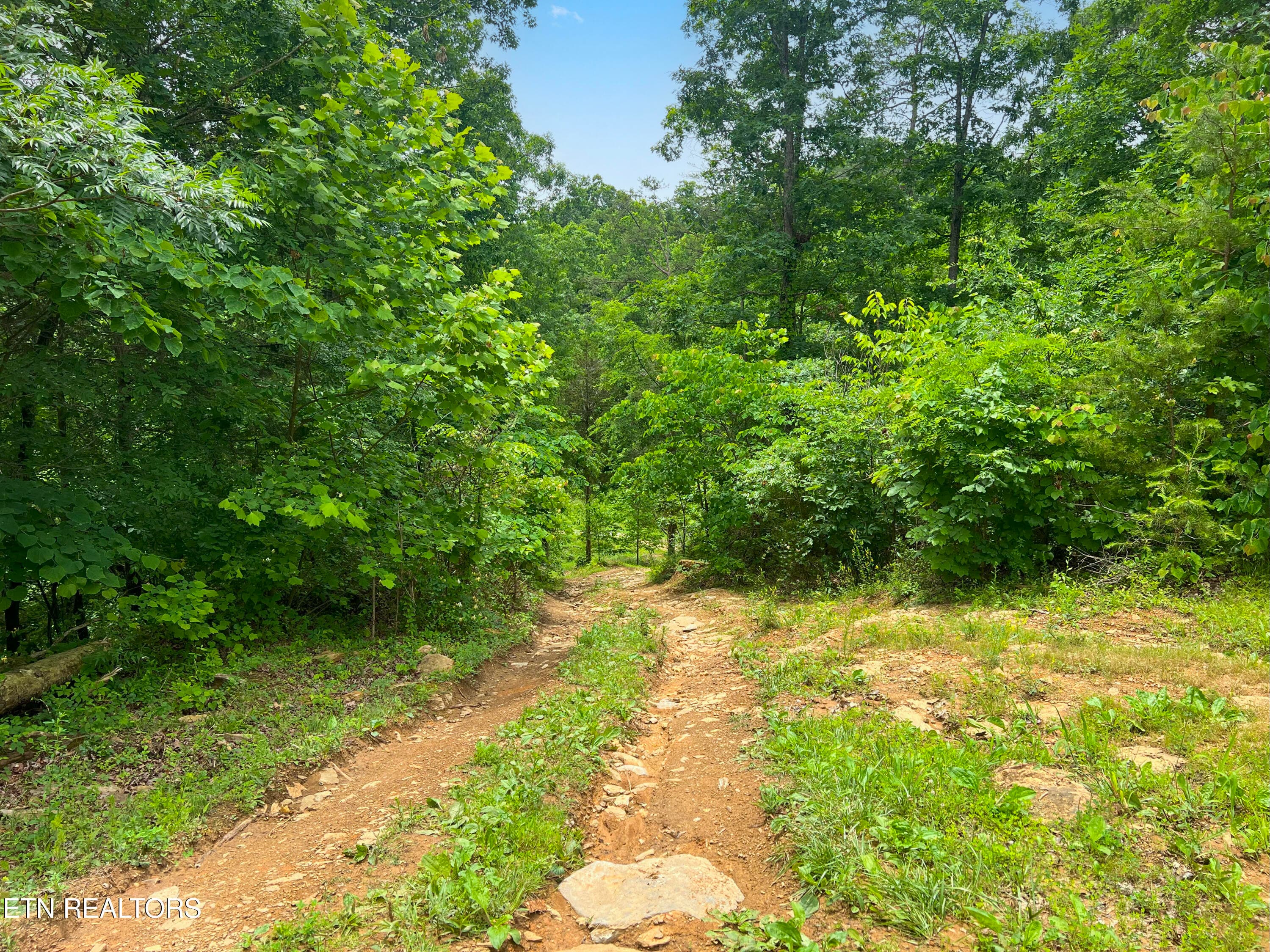 IMG_1196 - 185 Green Rd, Bulls Gap, TN 37711