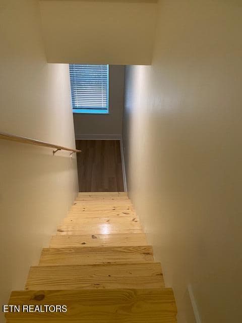 steps to lower living area - 1831 Granville Terrace, Knoxville, TN 37915, Knoxville