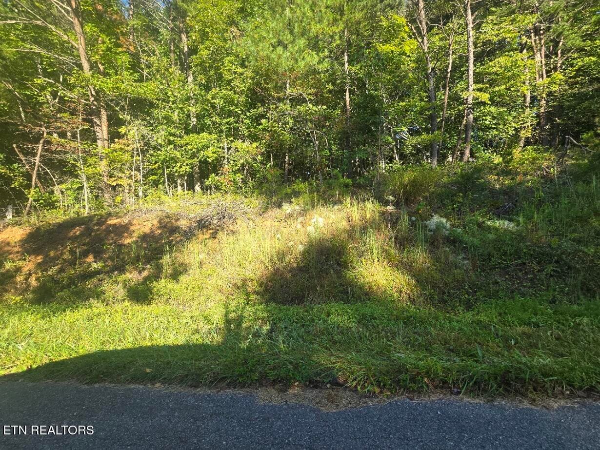 20250908_093430 - Lot 25-26 Summit Drive, Oneida, TN 37841