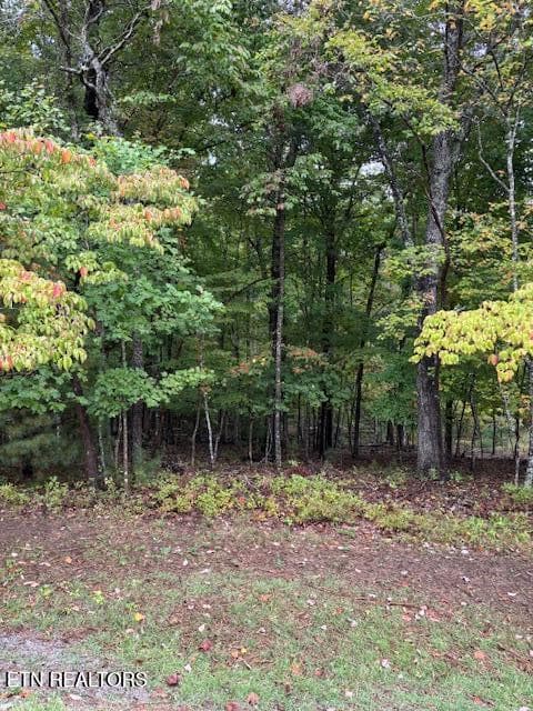 27 Chatham Court, Fairfield Glade, TN 38558