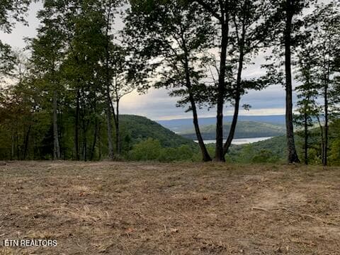 Summertime View - Lot 1070 Birds Eye Way, Guild, TN 37340