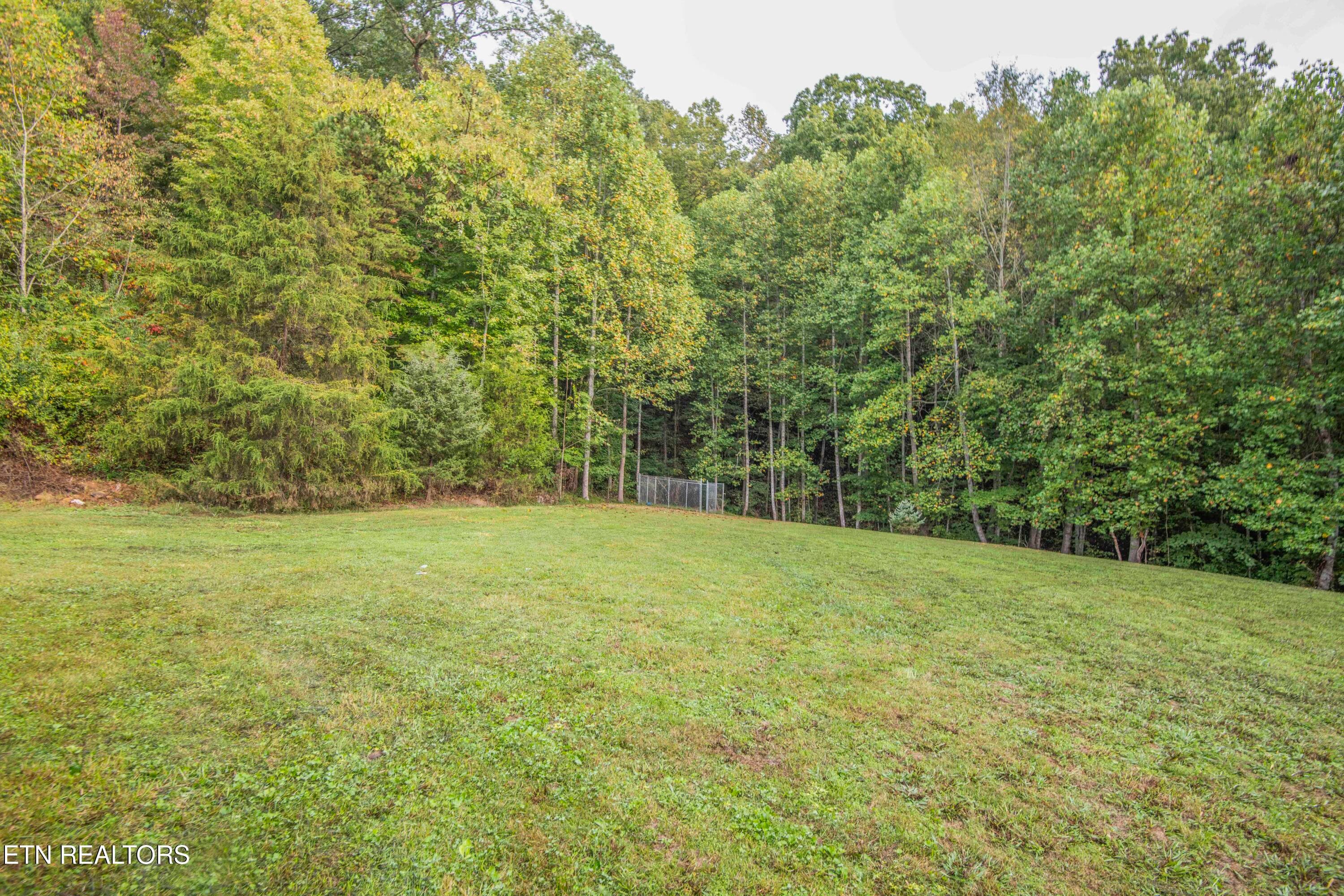 yard 1_1 - 799 Twin Hills Lane, Jacksboro, TN 37757, Jacksboro