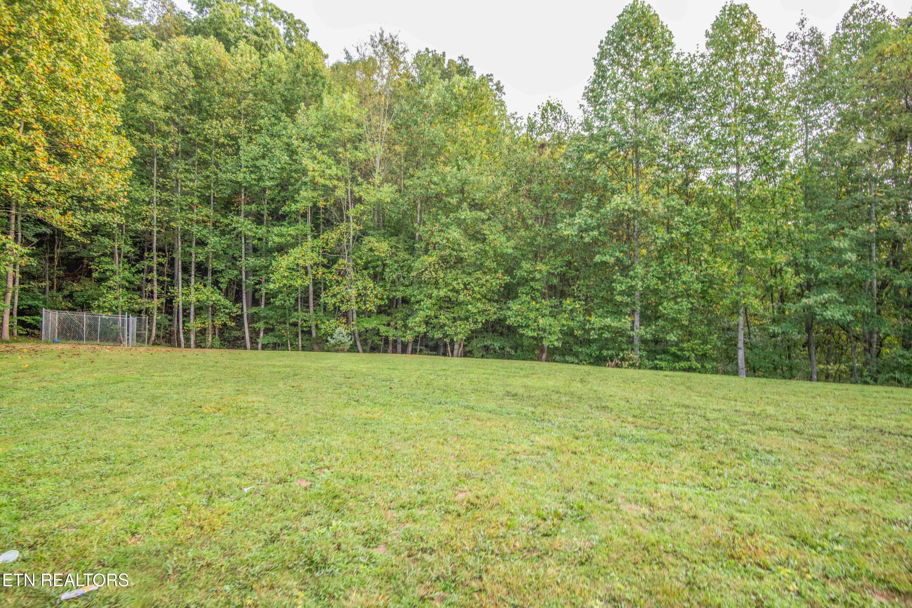 yard 2_1 - 799 Twin Hills Lane, Jacksboro, TN 37757, Jacksboro