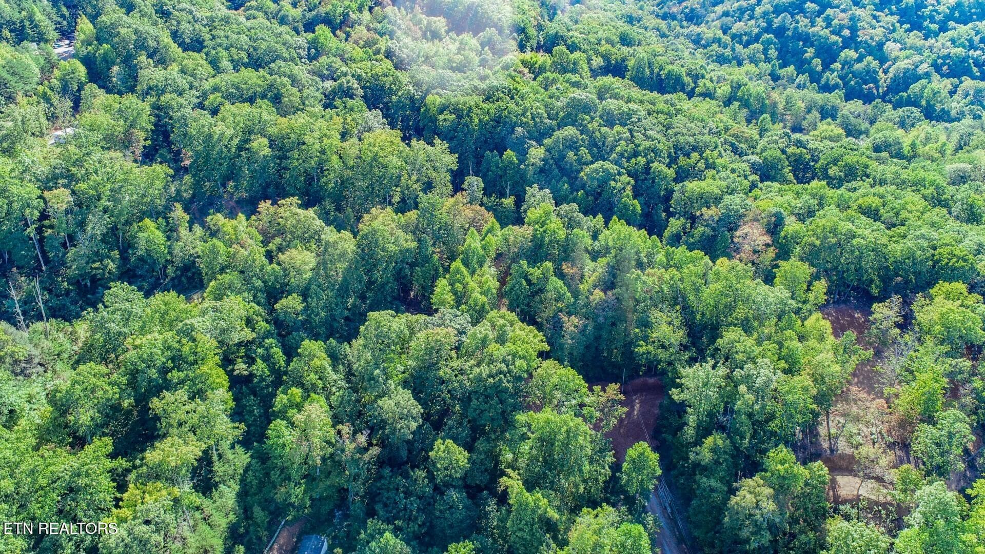 4 - 151 Delicious Way, Newport, TN 37821