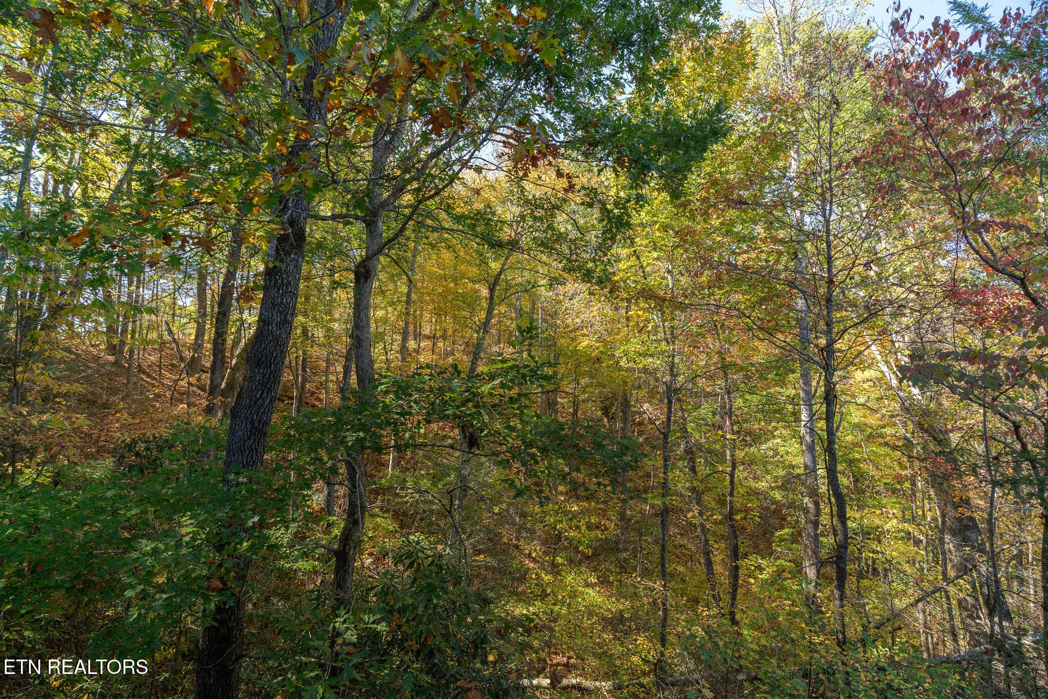 untitled-21 - 753 Glory Ridge Way, Gatlinburg, TN 37738, Gatlinburg