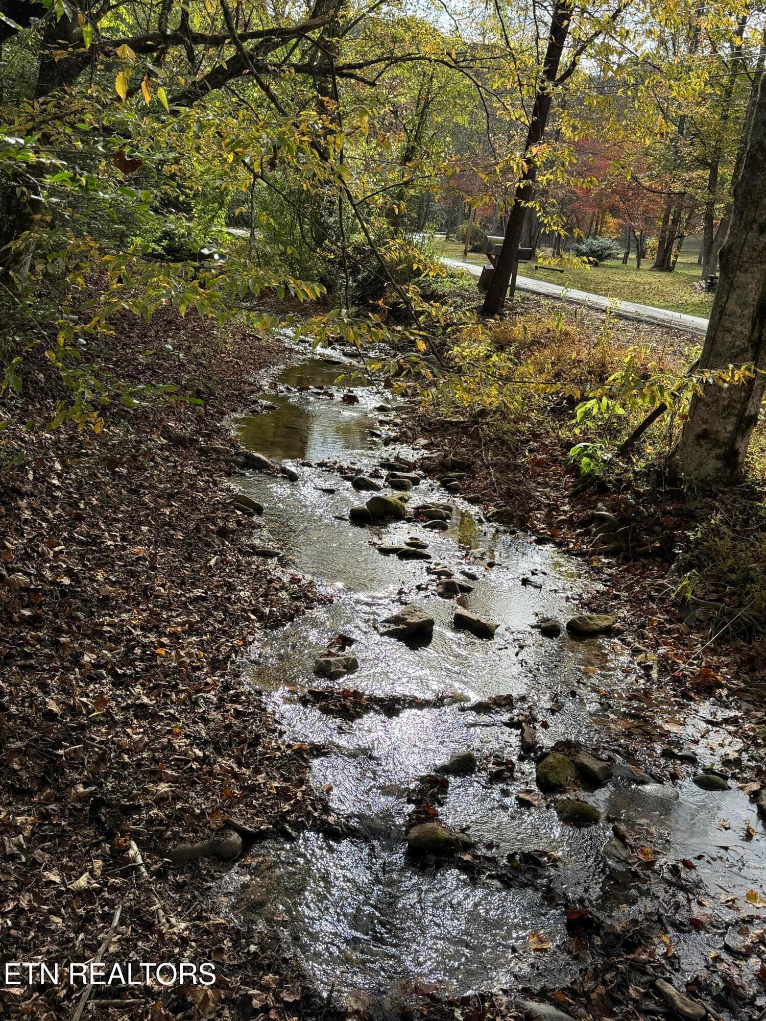 IMG_3137 - 468 Bobcat Ridge Way, Cosby, TN 37722, Cosby