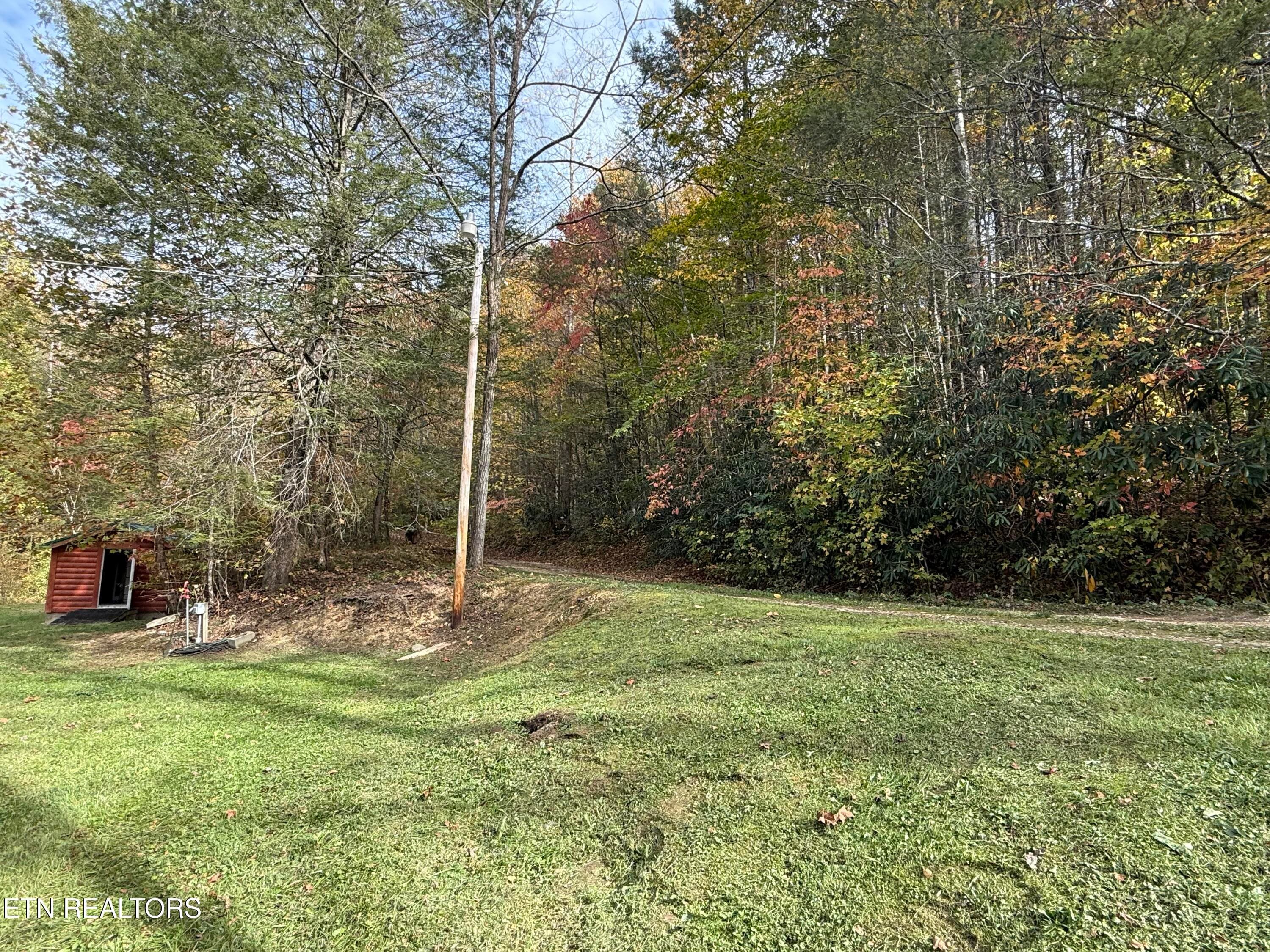 IMG_3096 - 468 Bobcat Ridge Way, Cosby, TN 37722, Cosby