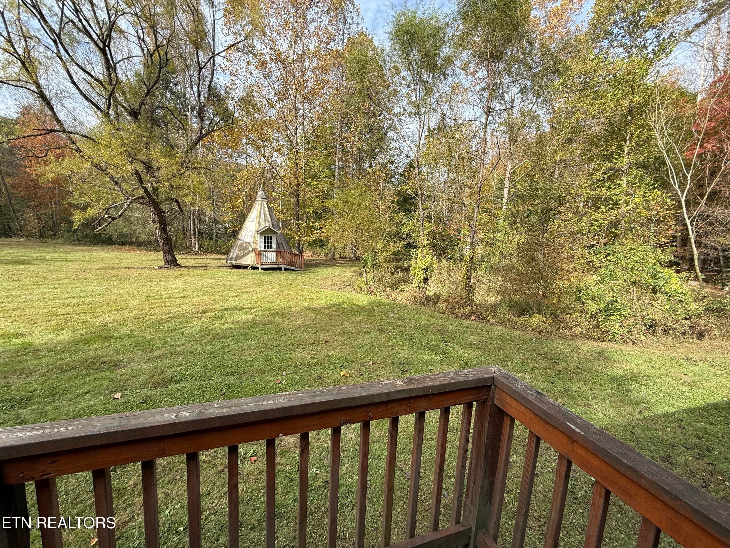 IMG_3112 - 468 Bobcat Ridge Way, Cosby, TN 37722, Cosby