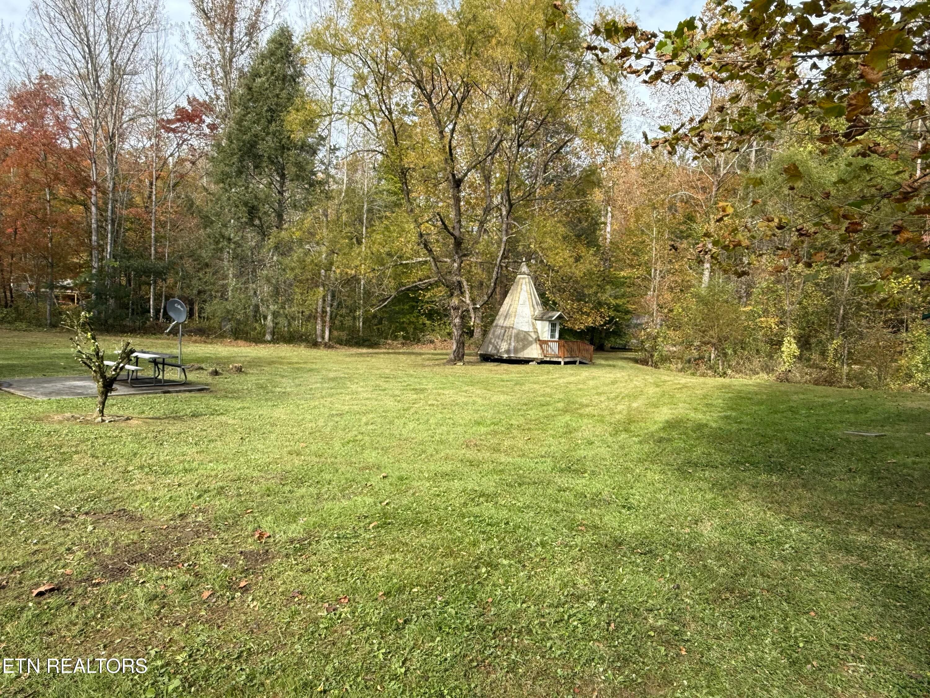 IMG_3097 - 468 Bobcat Ridge Way, Cosby, TN 37722, Cosby