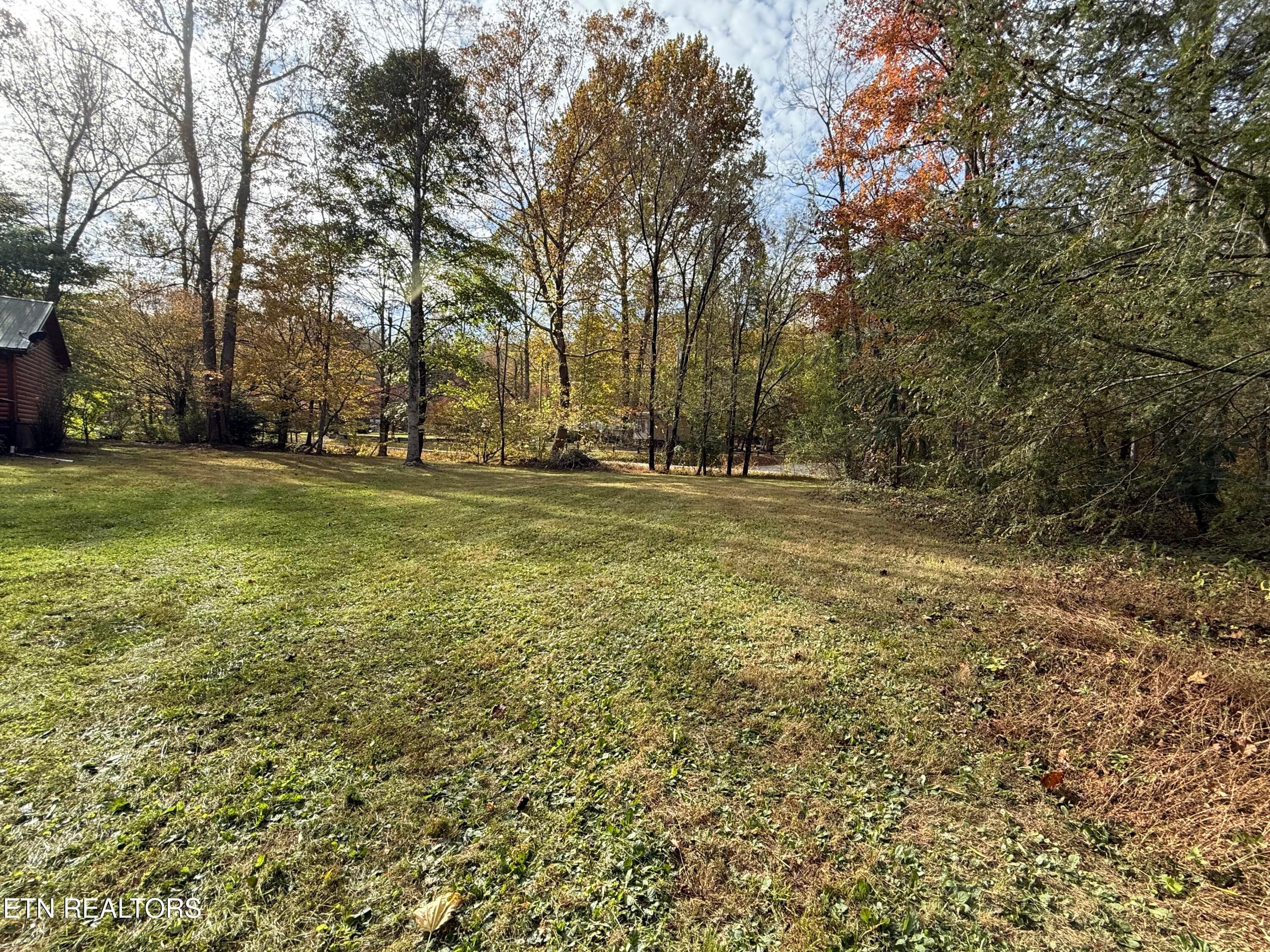 IMG_3131 - 468 Bobcat Ridge Way, Cosby, TN 37722, Cosby