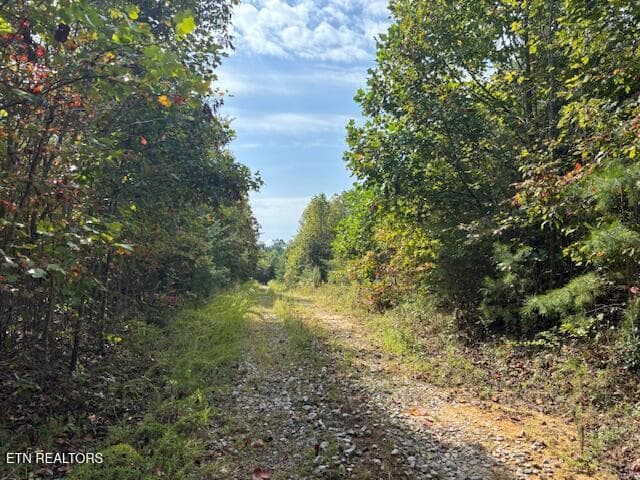 IMG_8935 - Otis Davis Rd, Pikeville, TN 37367