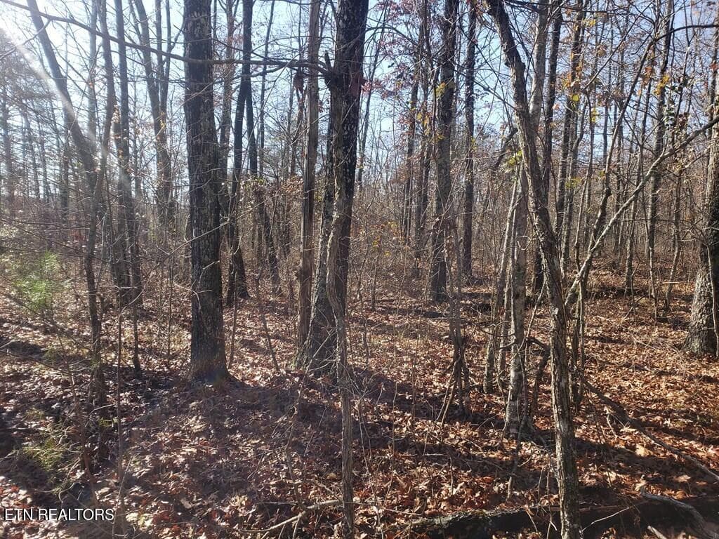 201800_3 - Lot 44 Hemlock Lane, Spencer, TN 38585