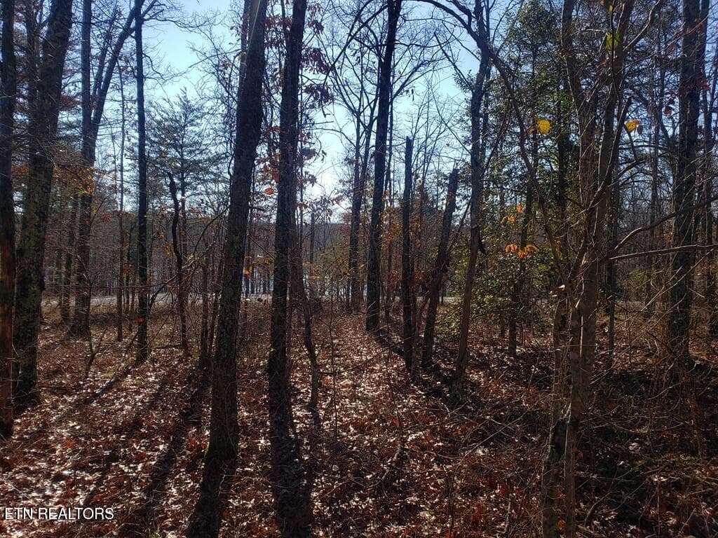 201800_6 - Lot 44 Hemlock Lane, Spencer, TN 38585