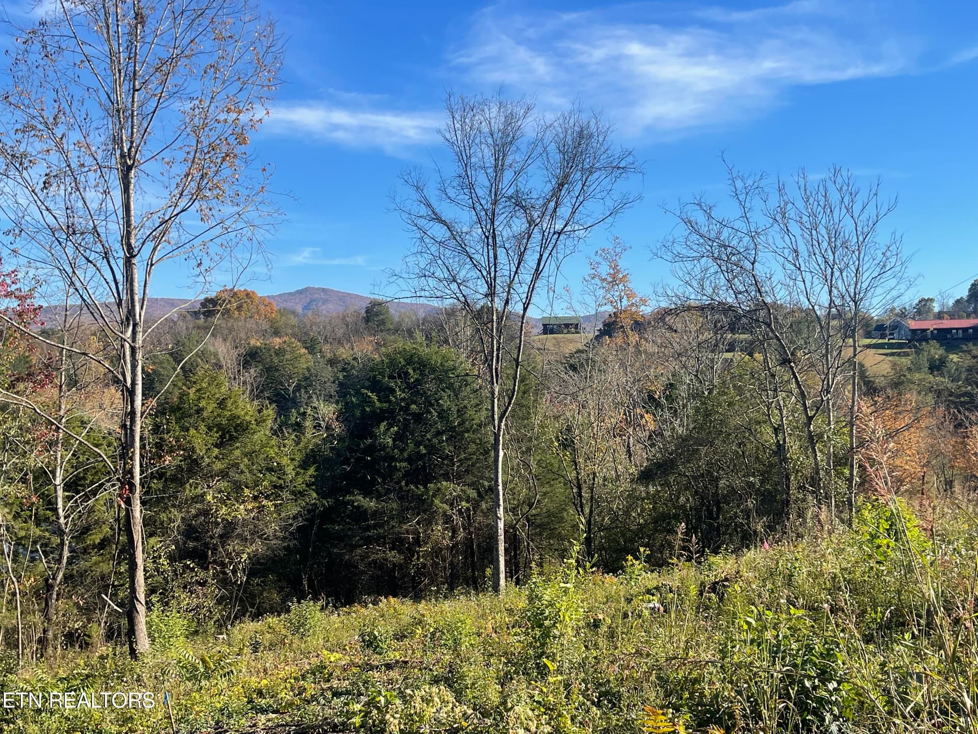 Mountain Ridge, Newport, TN 37821