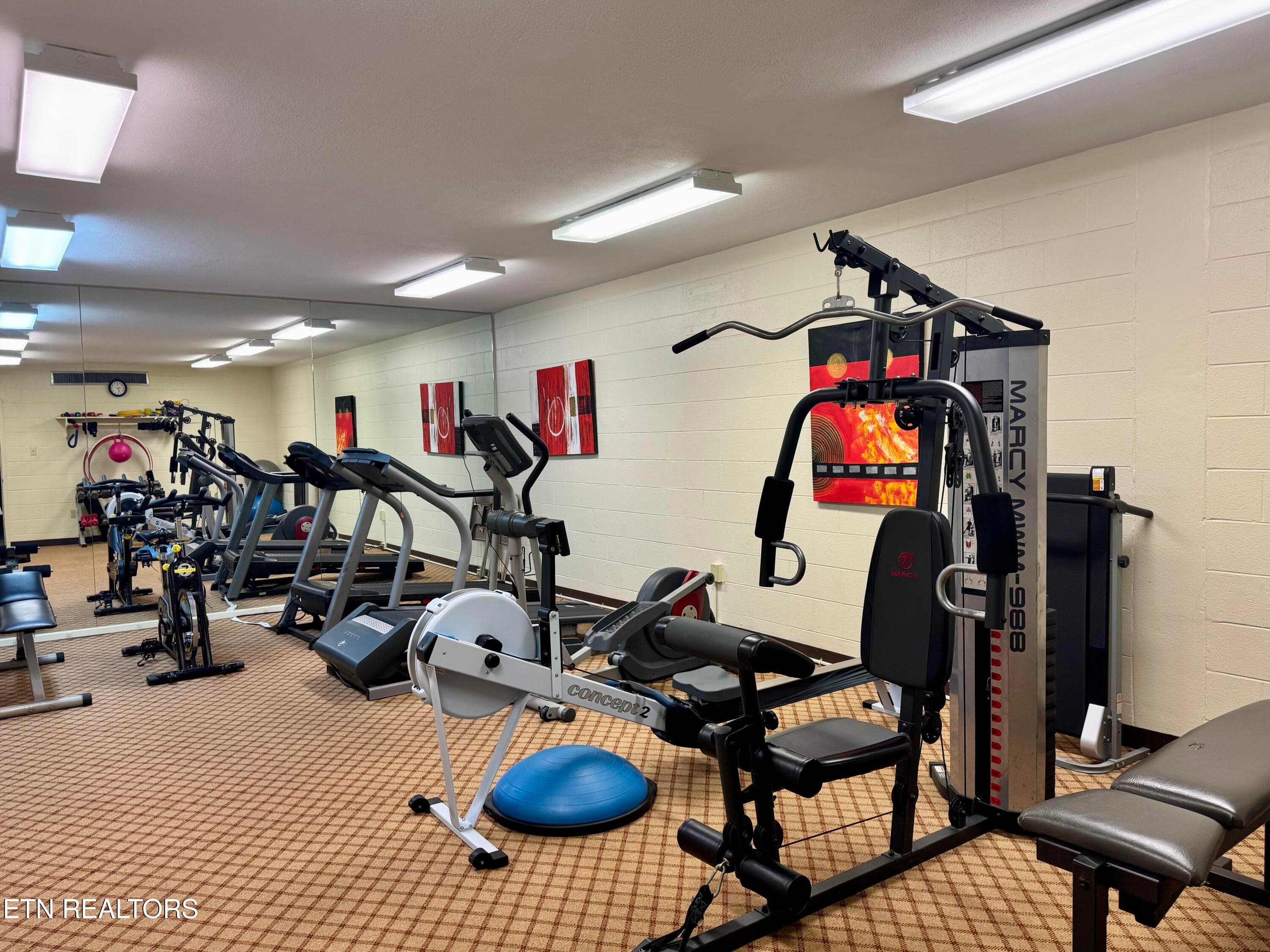 Gym Room - 1414 Continental Drive 302, Chattanooga, TN 37405, Chattanooga