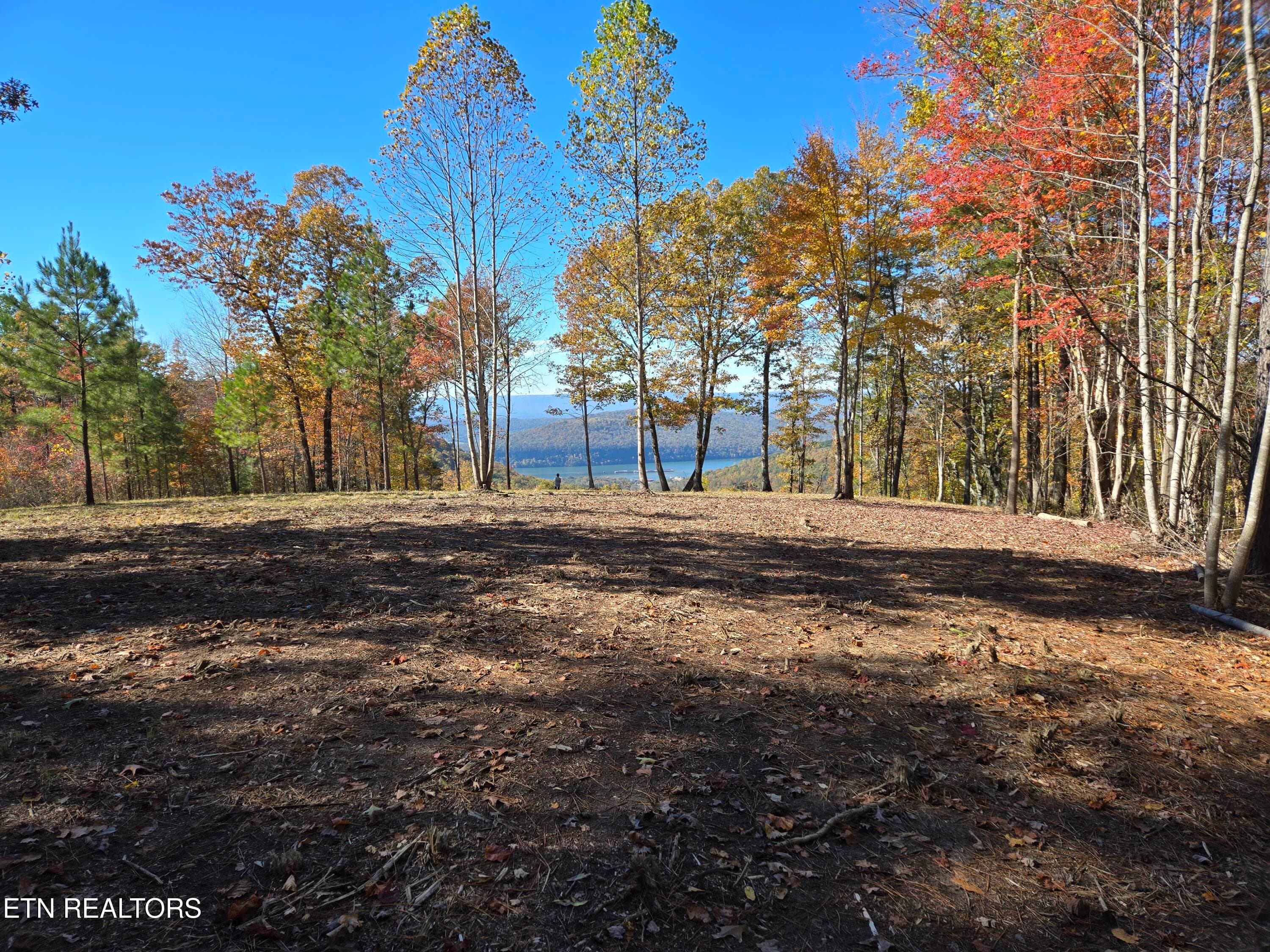 Room to Roam yet so much privacy - Lot 1070 Birds Eye Way, Guild, TN 37340