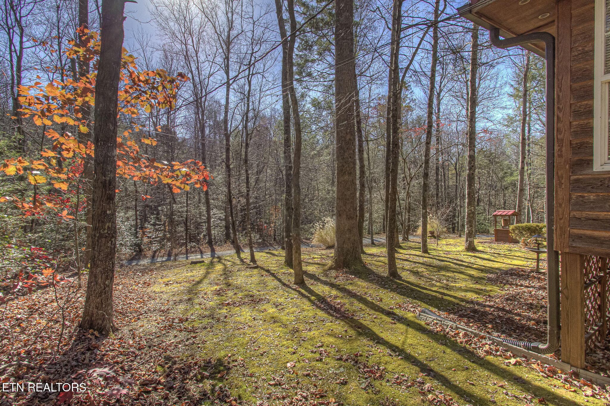 IMG_1569 - 4917 Latta Way, Gatlinburg, TN 37738, Gatlinburg