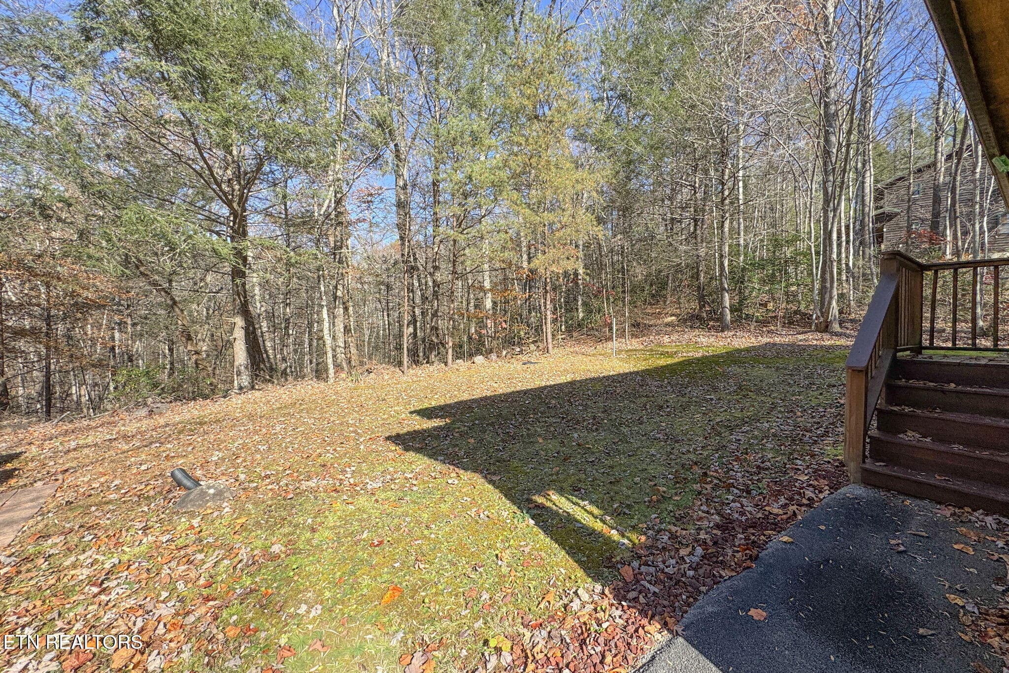 IMG_1577 - 4917 Latta Way, Gatlinburg, TN 37738, Gatlinburg