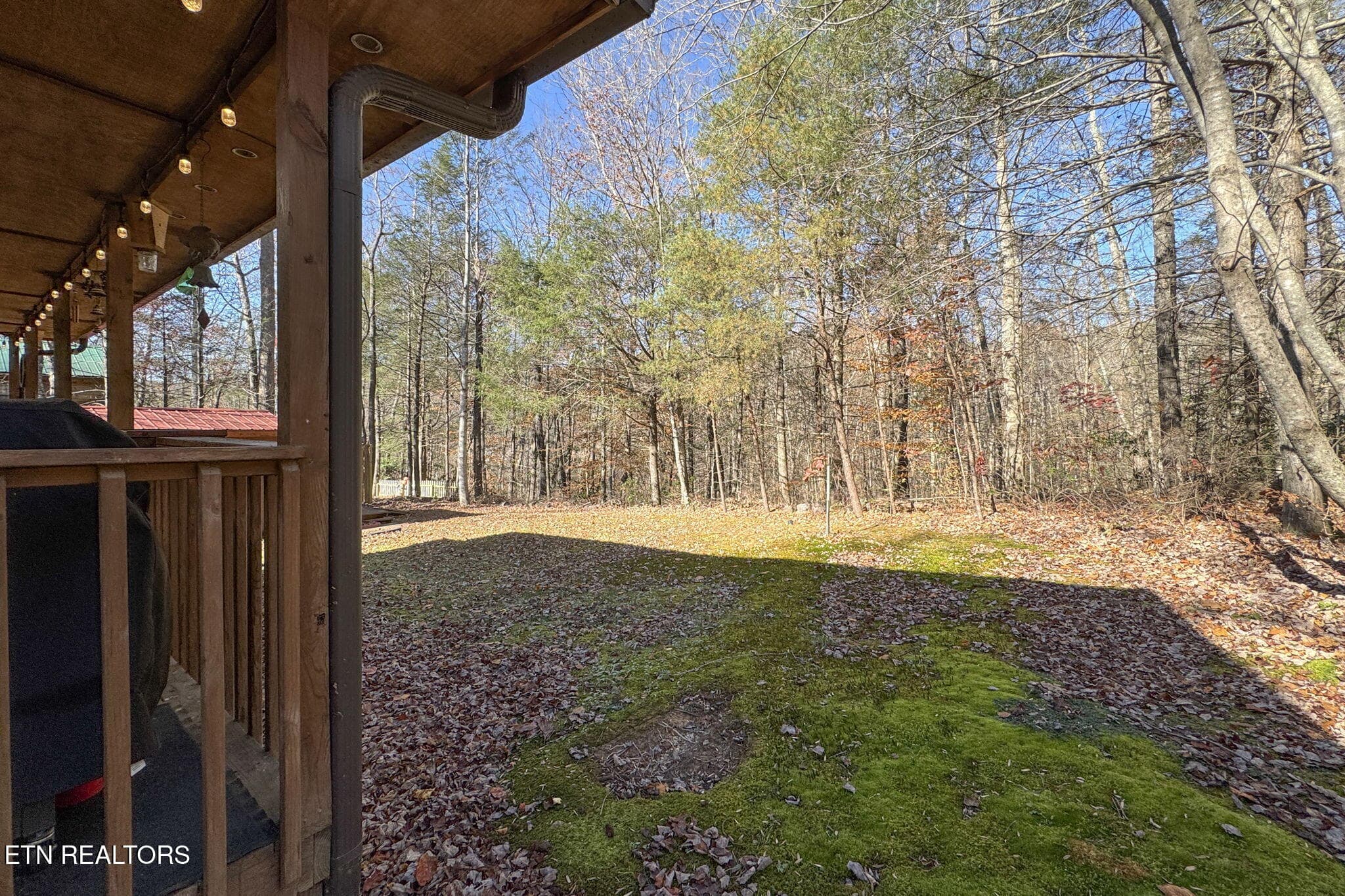 IMG_1743 - 4917 Latta Way, Gatlinburg, TN 37738, Gatlinburg