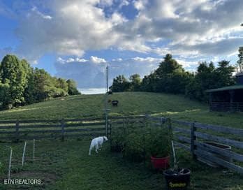 IMG_5758.thumbnail - 323 Beech Hollow Rd, Harrogate, TN 37752