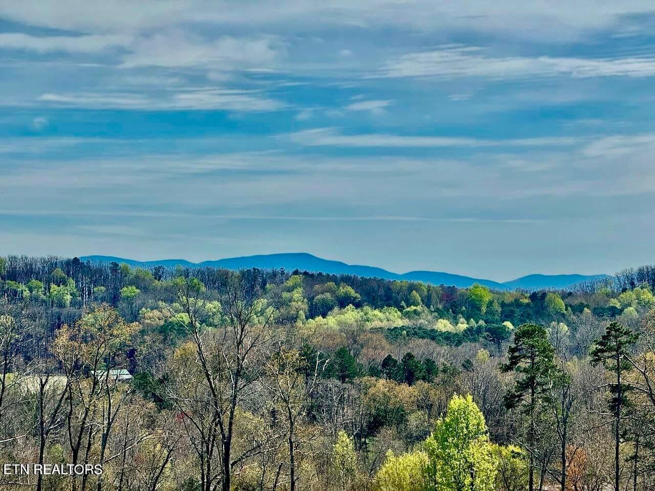 View from lot - Timber Top Crossing Lot 24, Cleveland, TN 37323