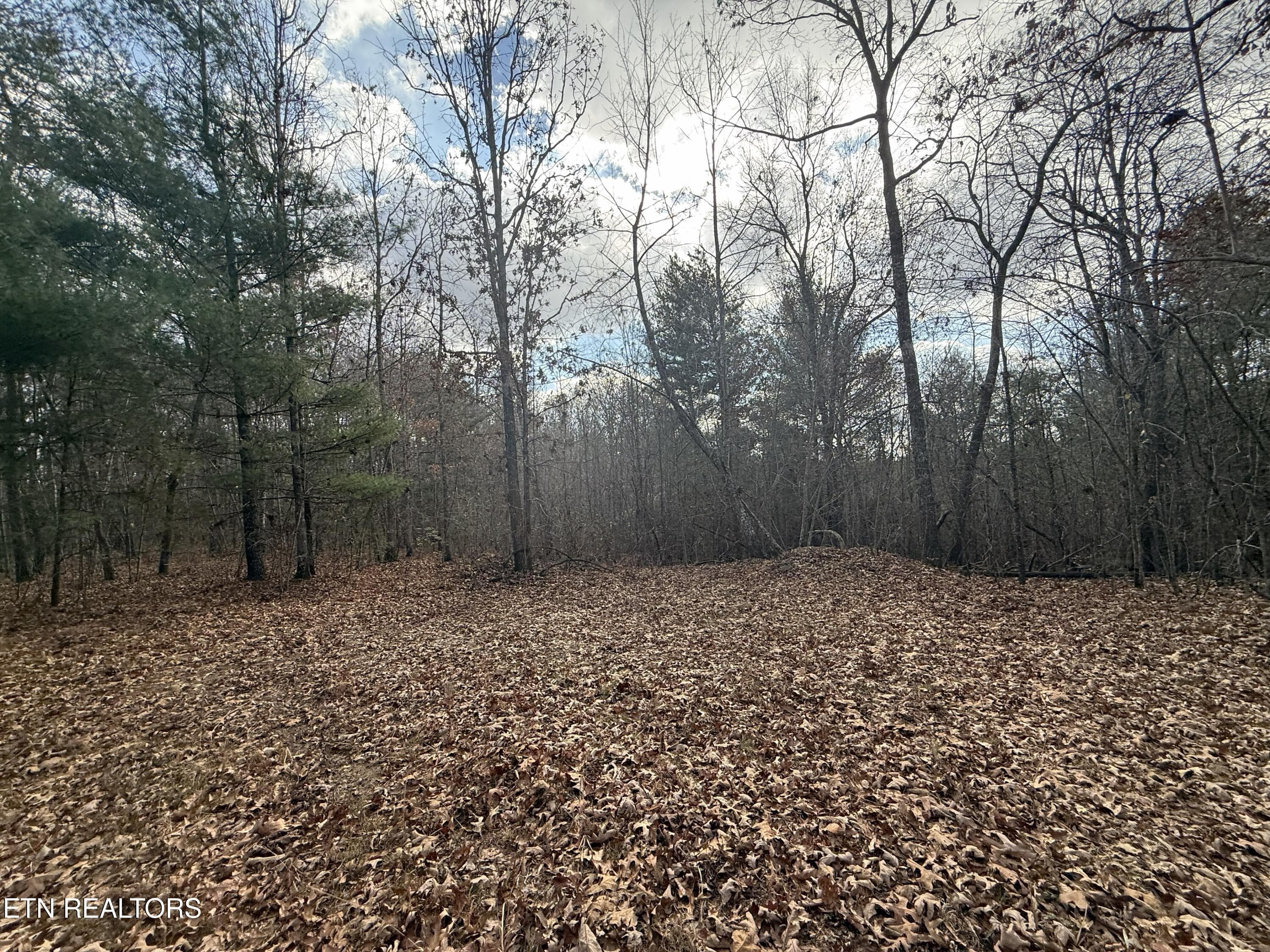 Valerie Drive 10.77 acres Drive, Deer Lodge, TN 37726