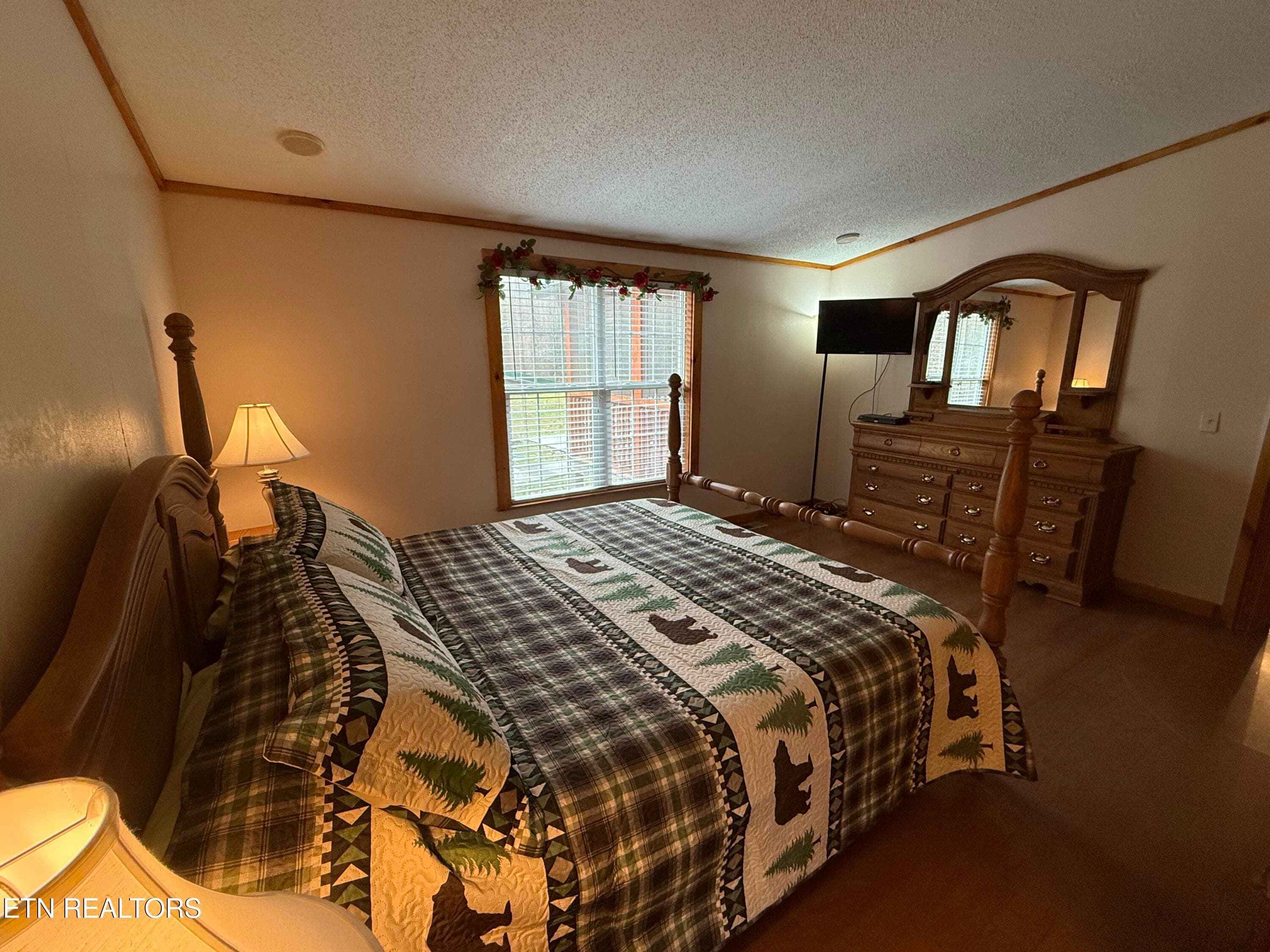 IMG_4983 - 468 Bobcat Ridge Way, Cosby, TN 37722, Cosby