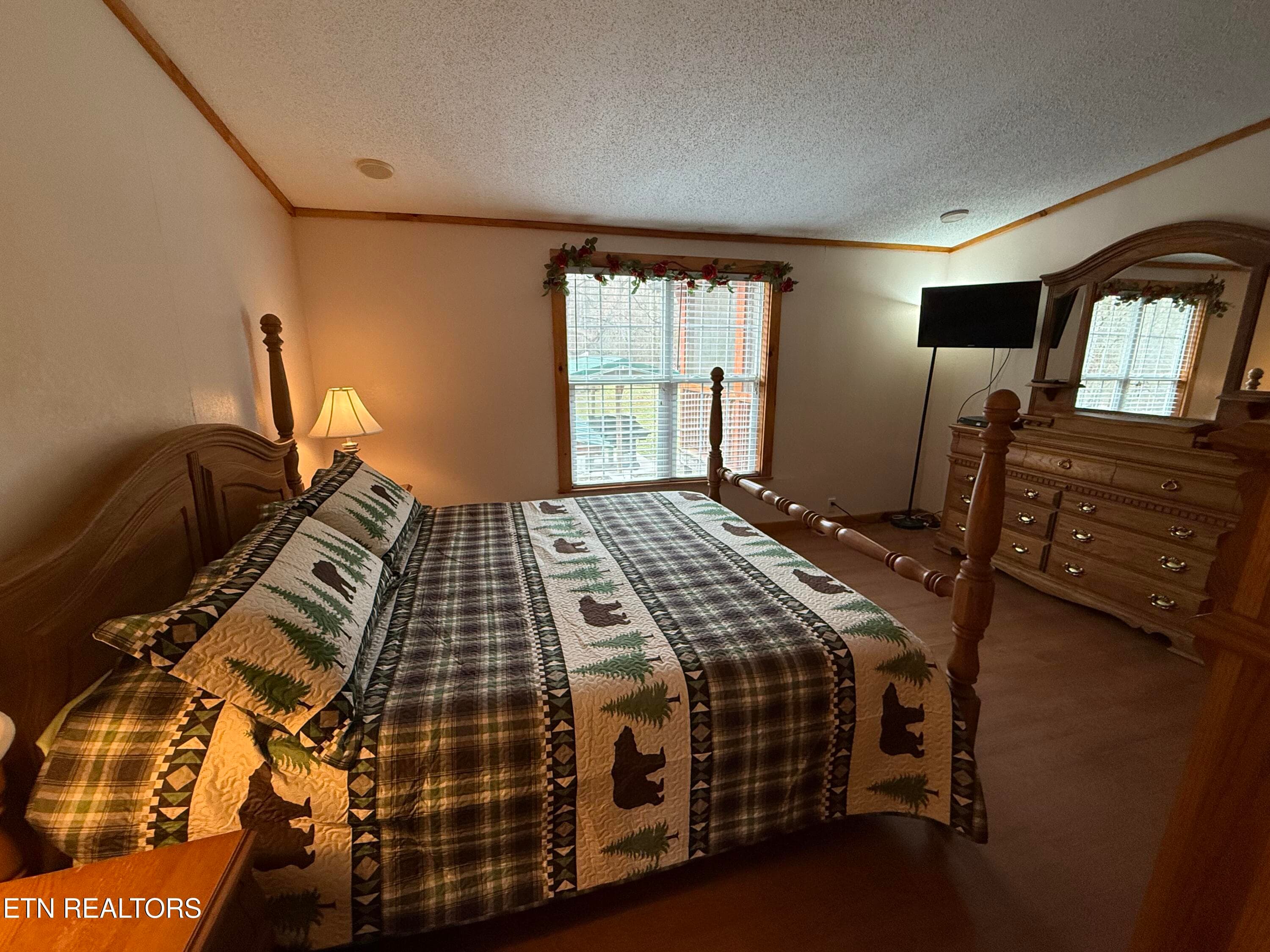 IMG_4981 - 468 Bobcat Ridge Way, Cosby, TN 37722, Cosby