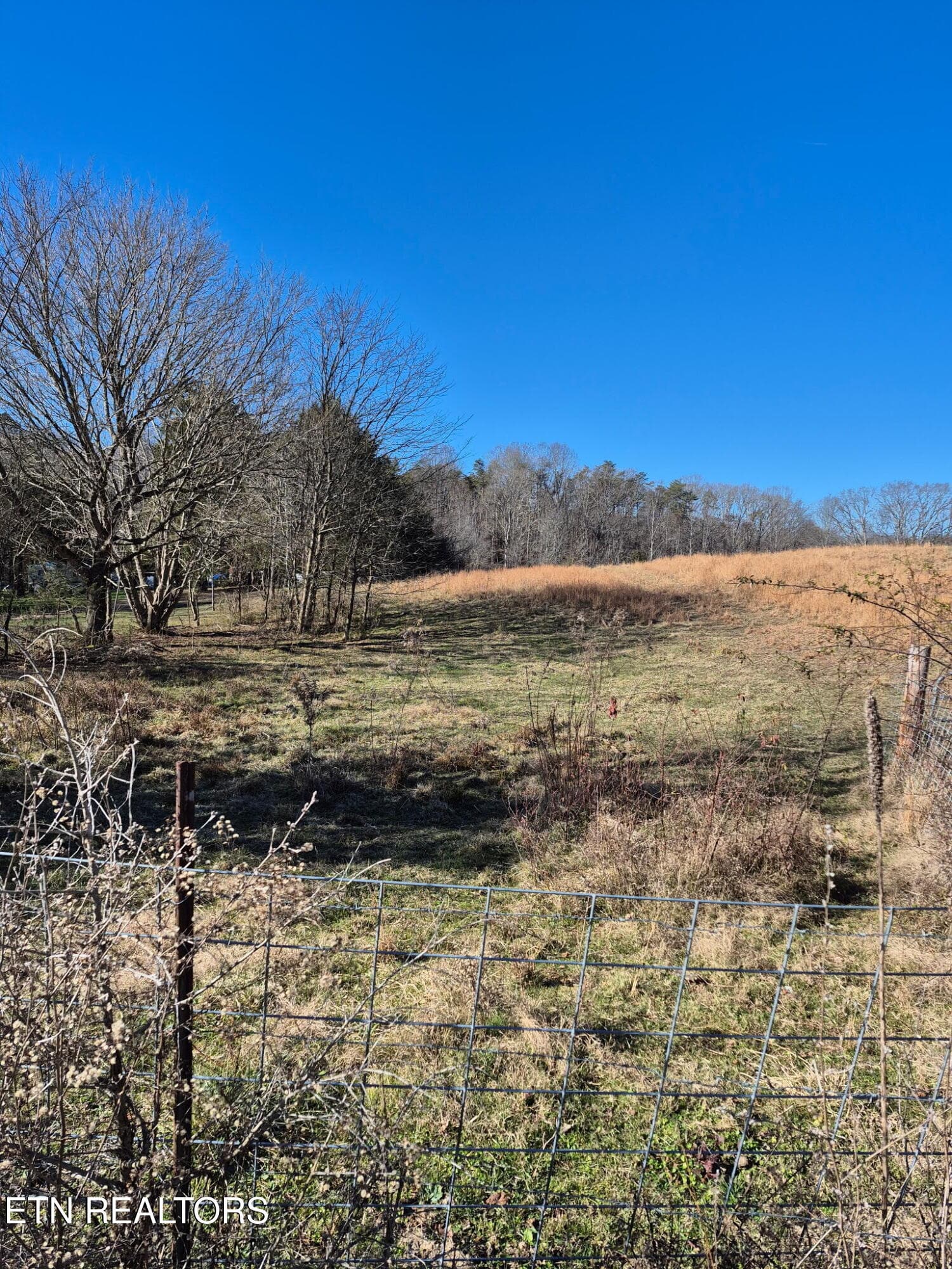 IMG_20251217_085407 (1) - Chestua Rd, Madisonville, TN 37354