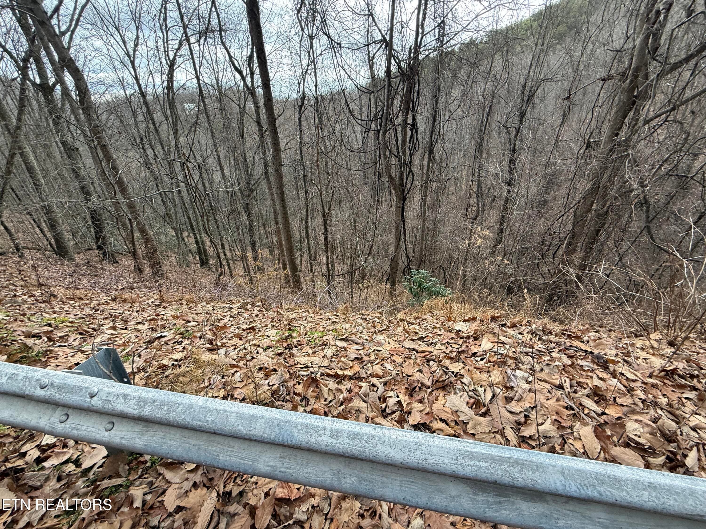 IMG_6518 - Lot 34 Alpine Drive, Sevierville, TN 37876