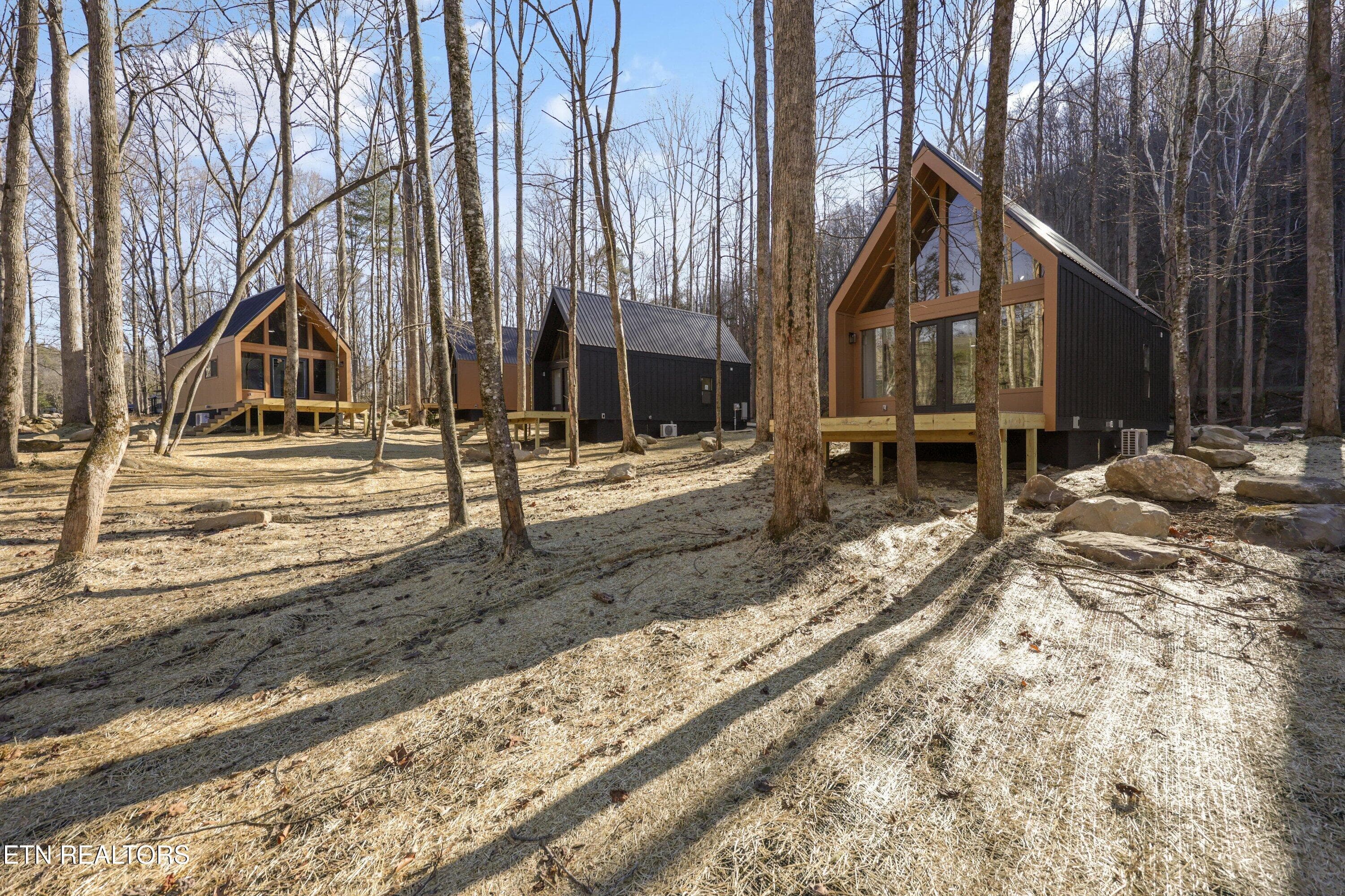 Braydens Way Community 7 - 216 Braydens Way, Gatlinburg, TN 37738, Gatlinburg