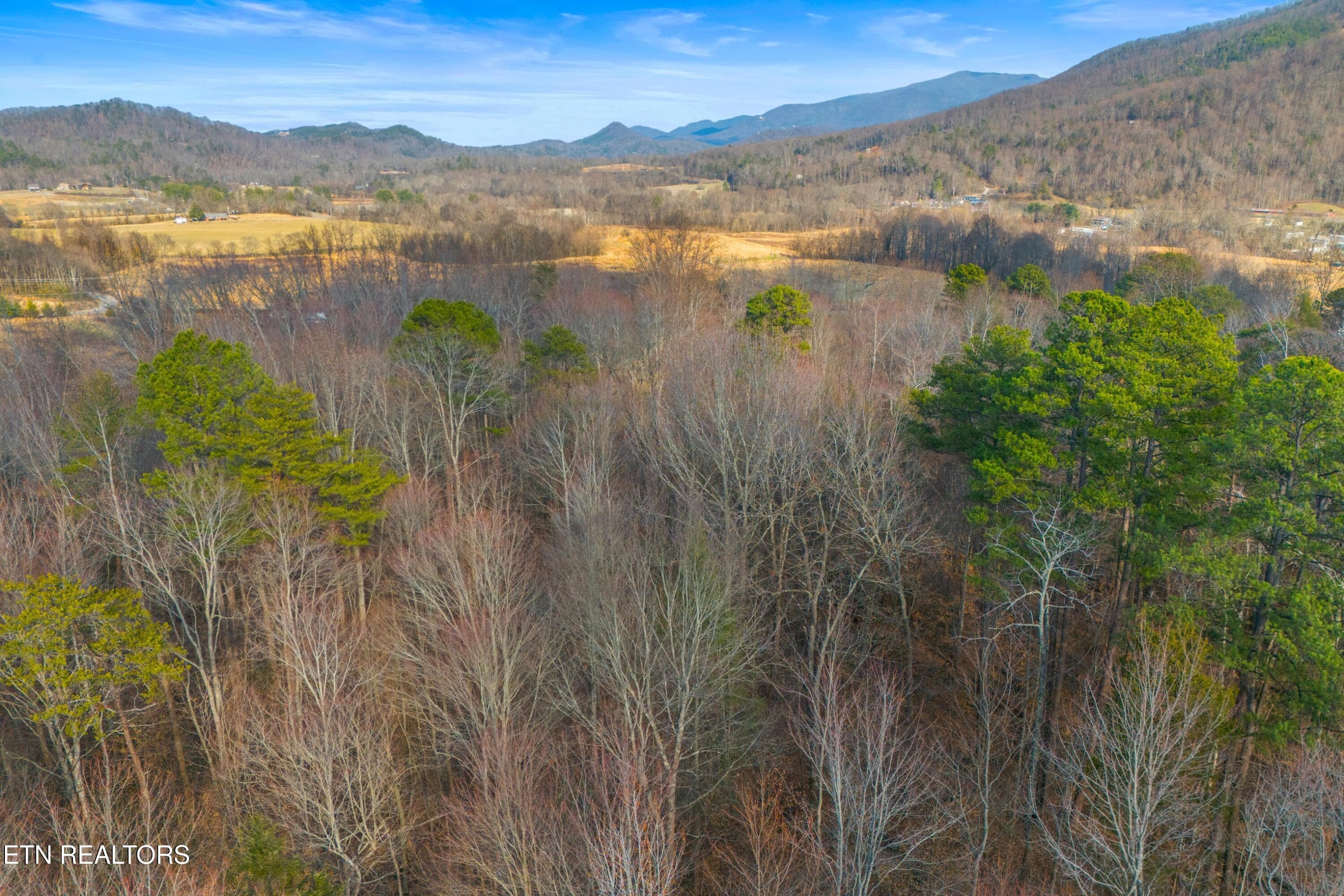007-4121ChavisRoad-Cosby-TN-37722-SMALL - 4121 Chavis Rd, Cosby, TN 37722, Cosby