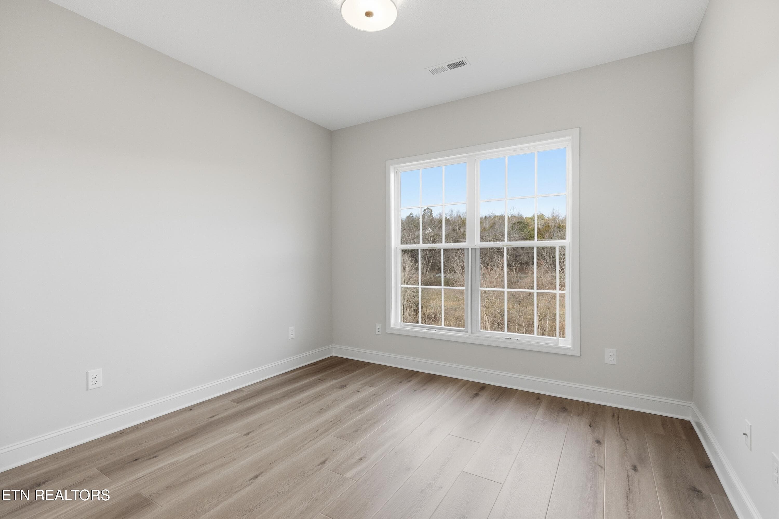 Downstairs Bedroom - 2036 Hickory Reserve Rd, Knoxville, TN 37932, Knoxville