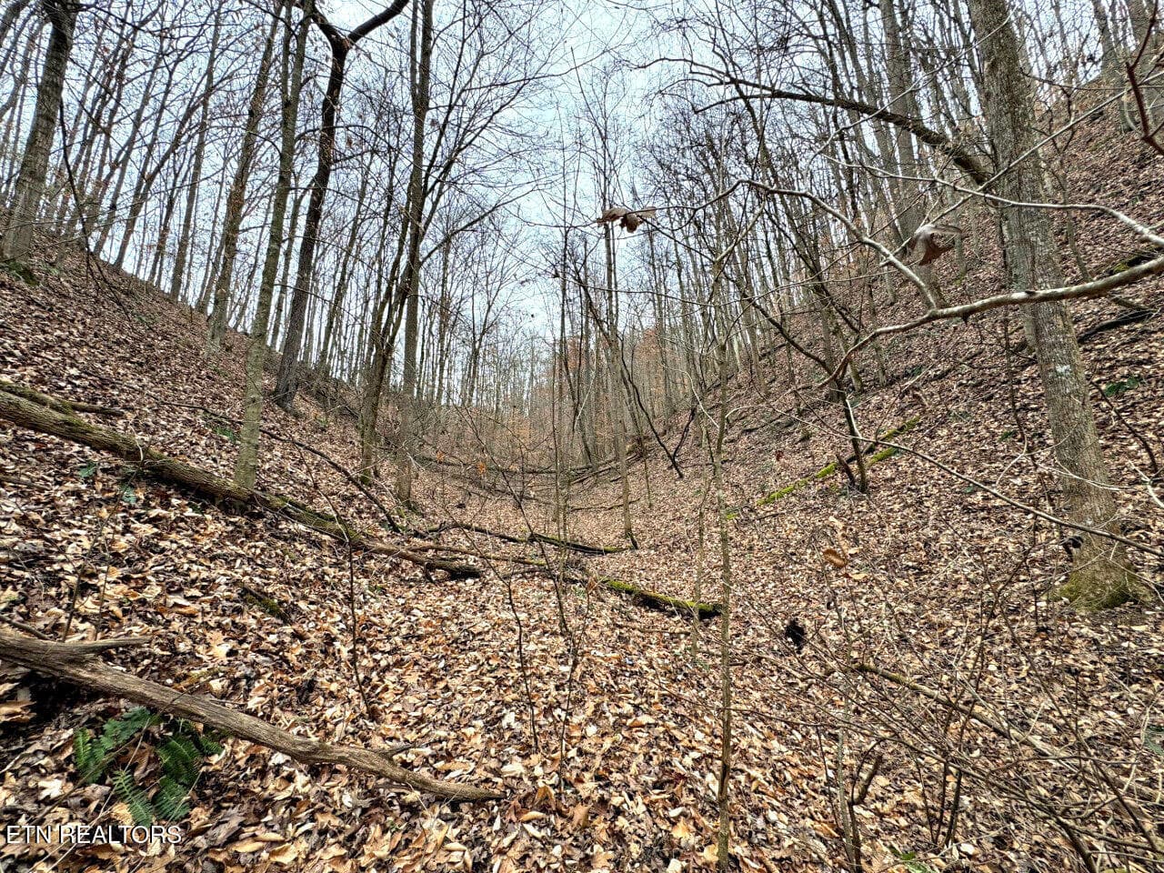2 - 520 Jonny Carrier Hollow Rd, Bluff City, TN 37618, Bluff City