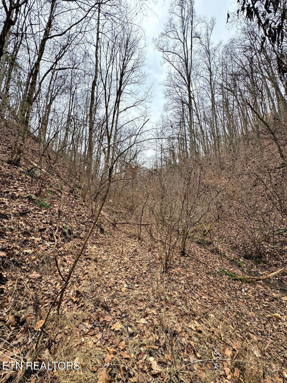 5 - 520 Jonny Carrier Hollow Rd, Bluff City, TN 37618, Bluff City